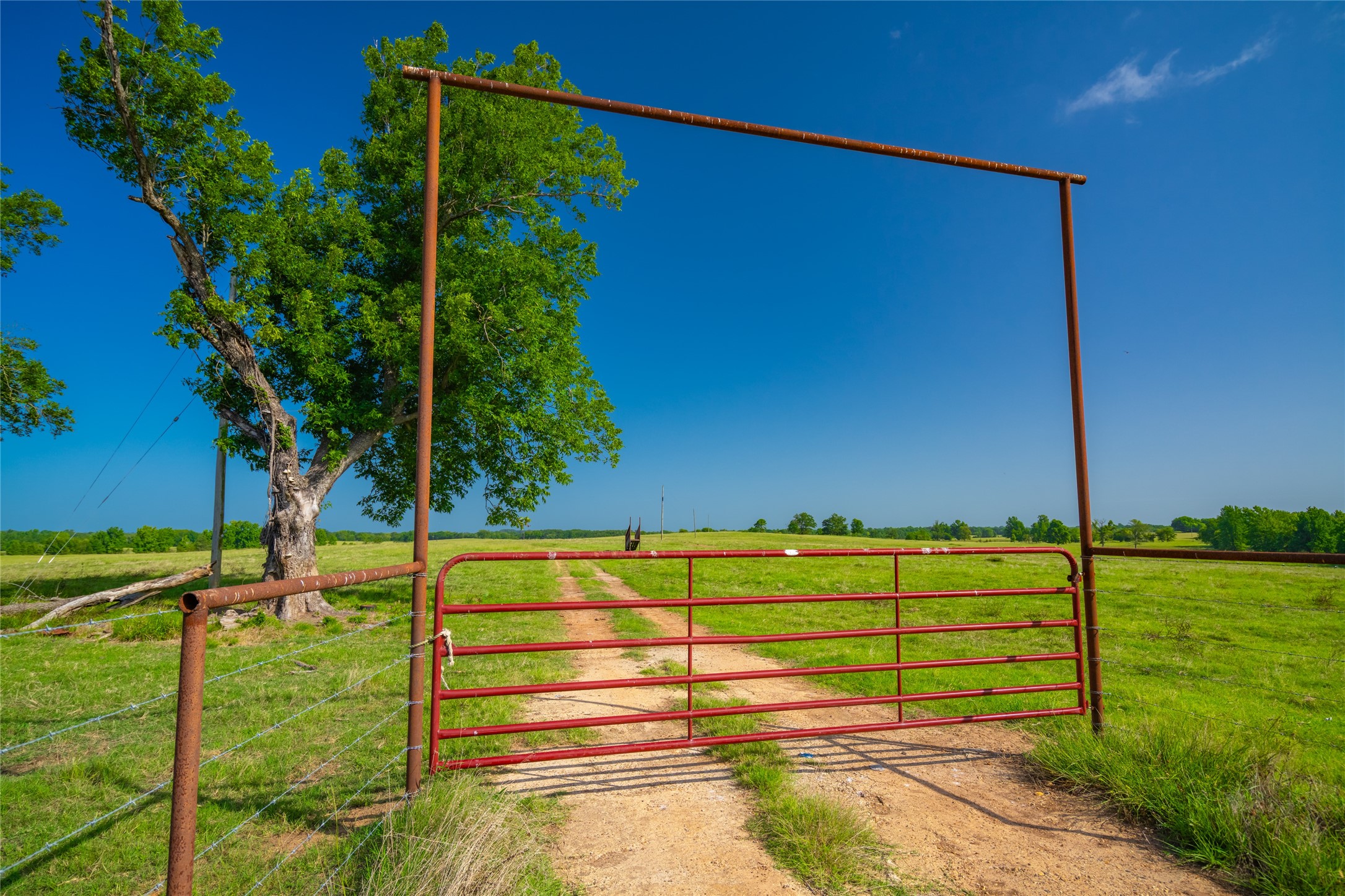 1145 N Highway 144 Omaha TX 75571