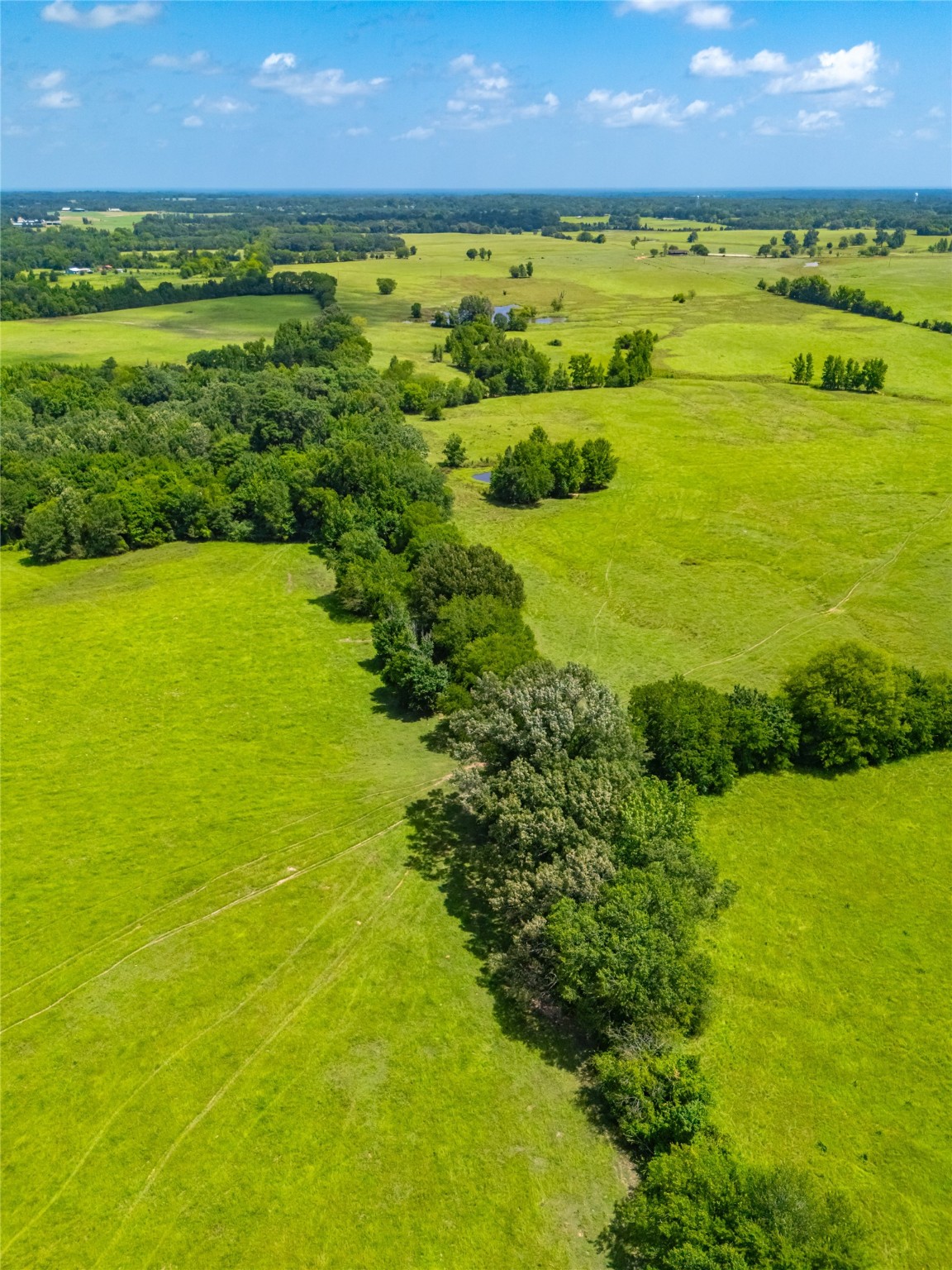 1145 N Highway 144 Omaha TX 75571