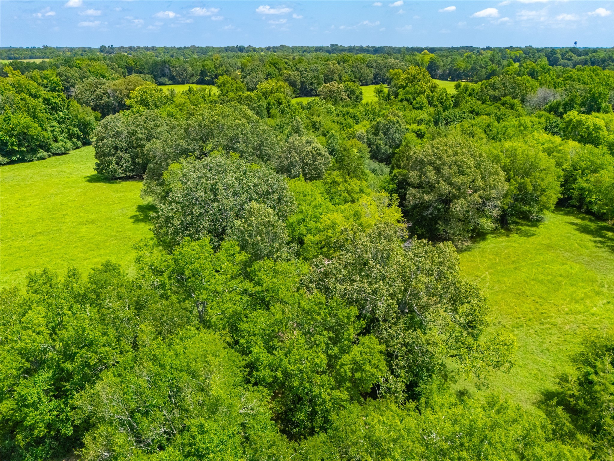 1145 N Highway 144 Omaha TX 75571