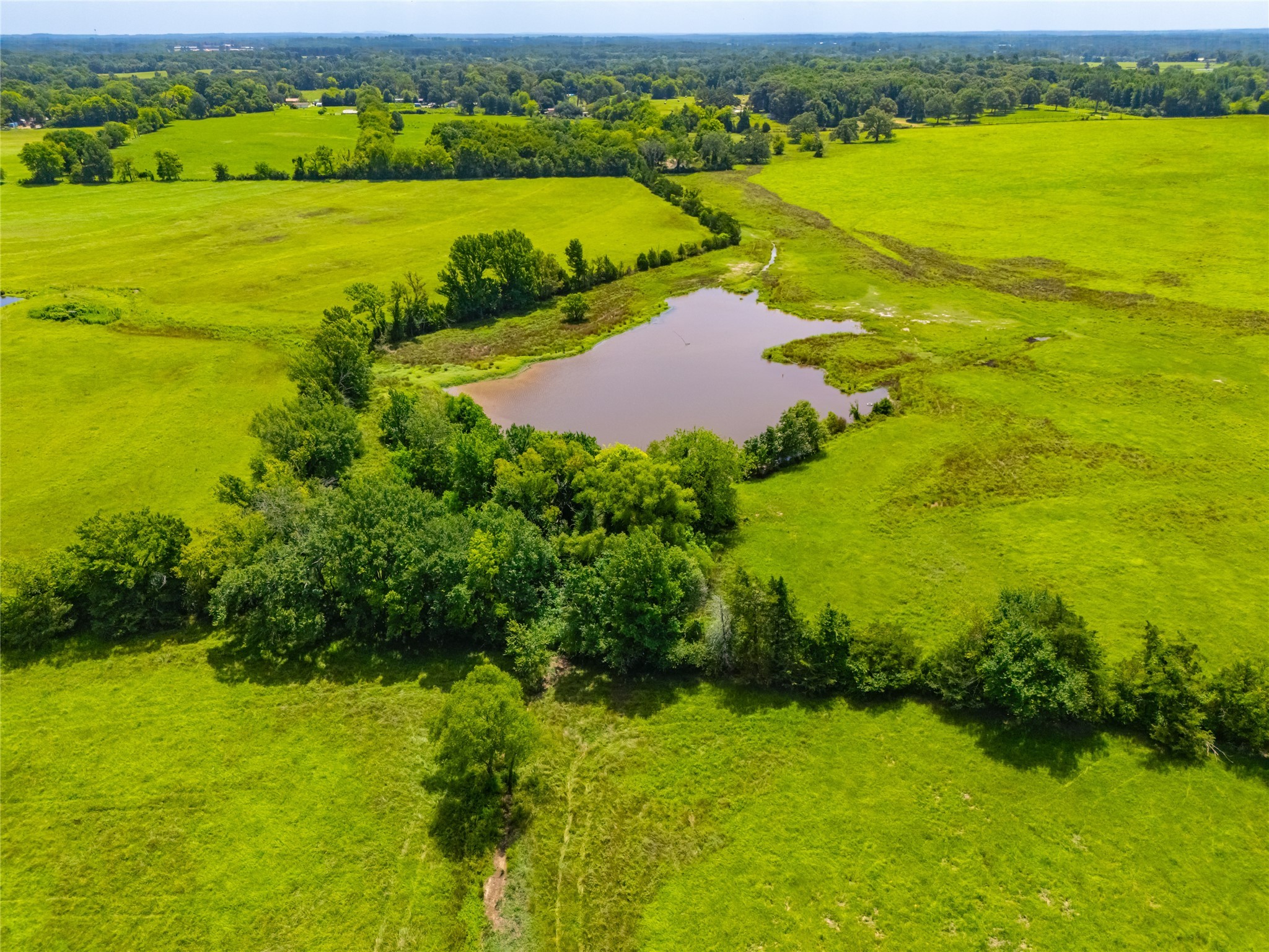 1145 N Highway 144 Omaha TX 75571