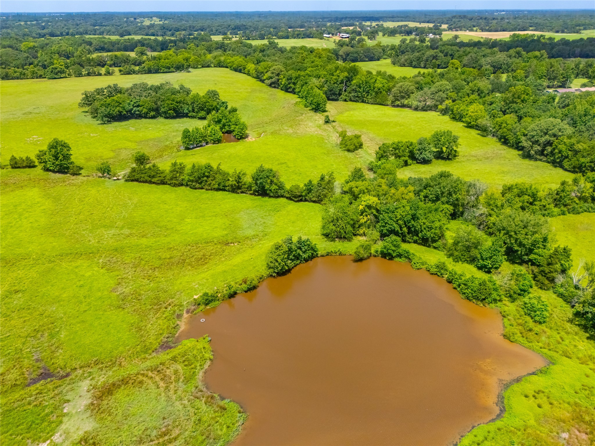 1145 N Highway 144 Omaha TX 75571