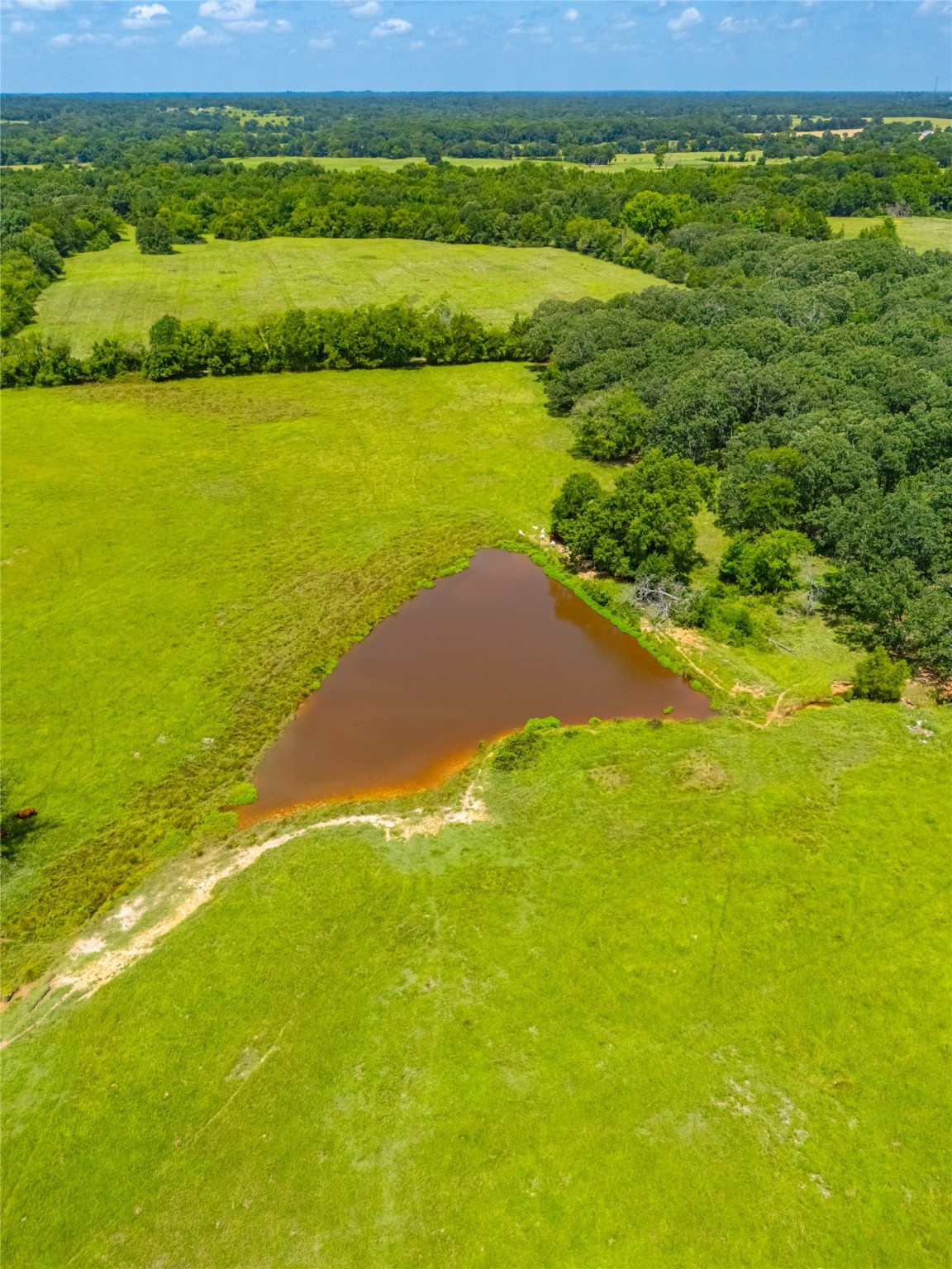 1145 N Highway 144 Omaha TX 75571