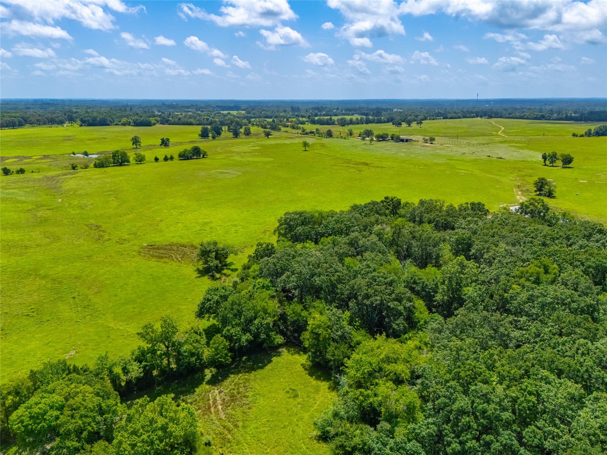 1145 N Highway 144 Omaha TX 75571