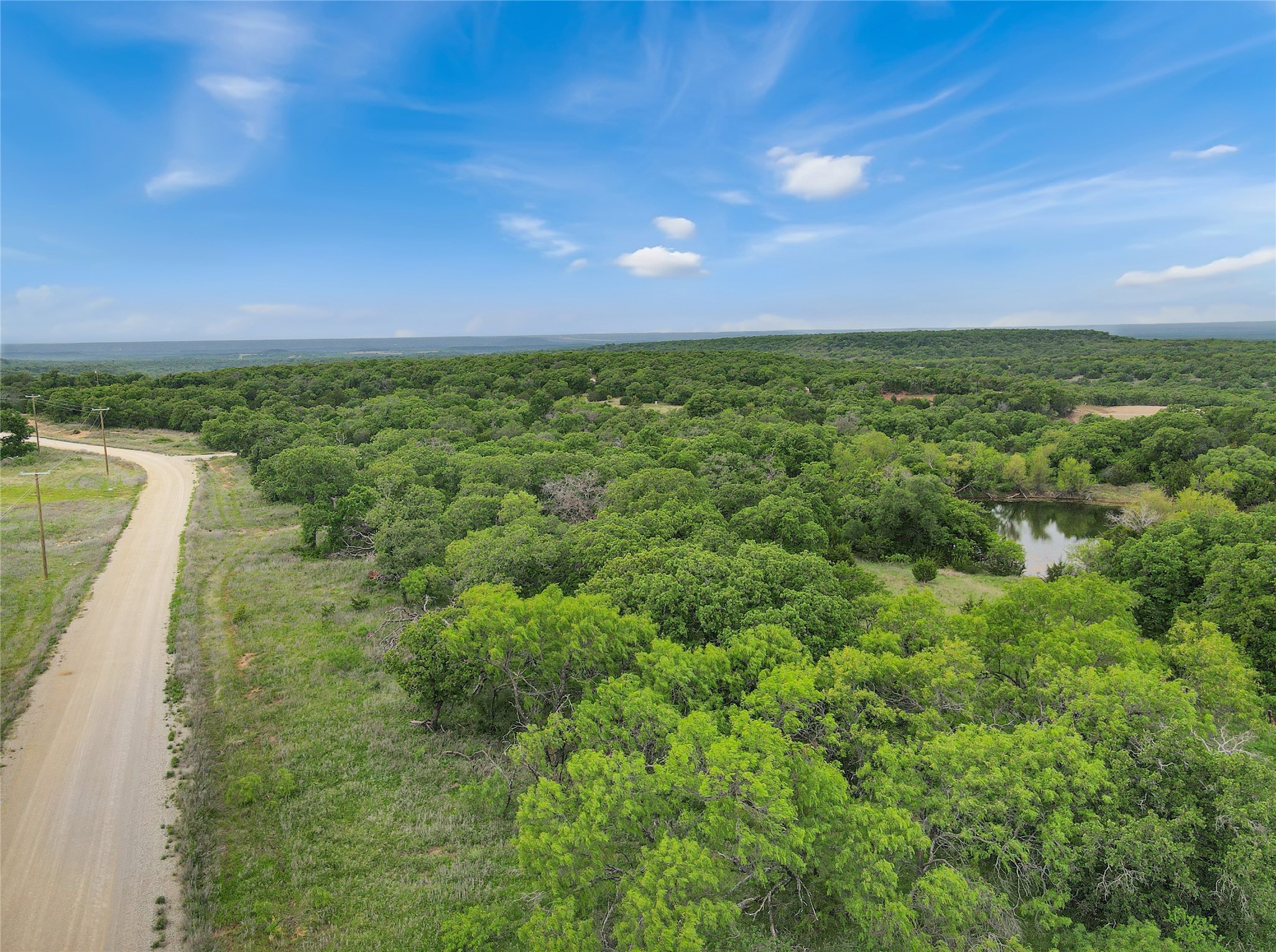 Tbd Tenbears Court Mingus TX 76463