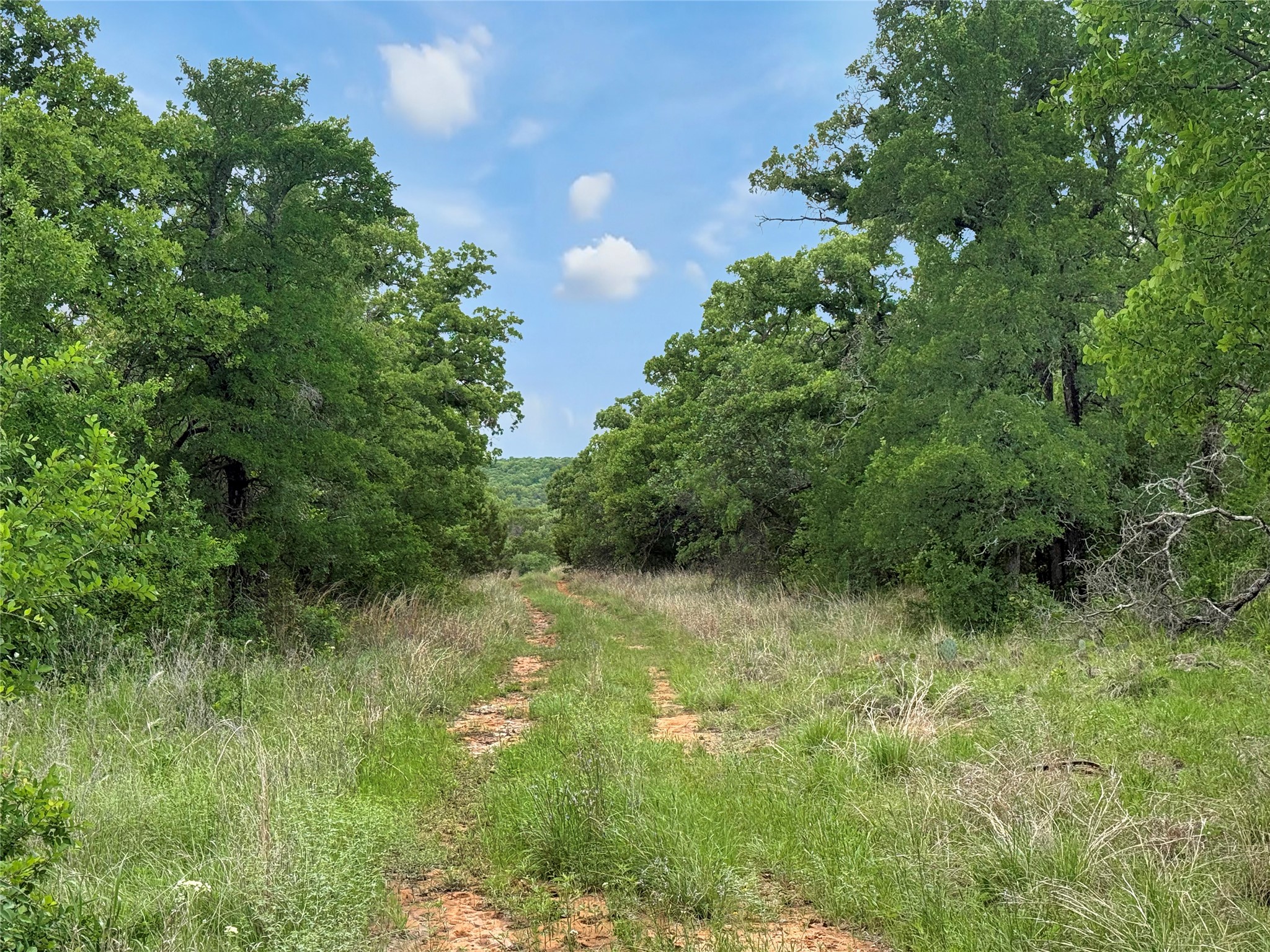 Tbd Tenbears Court Mingus TX 76463