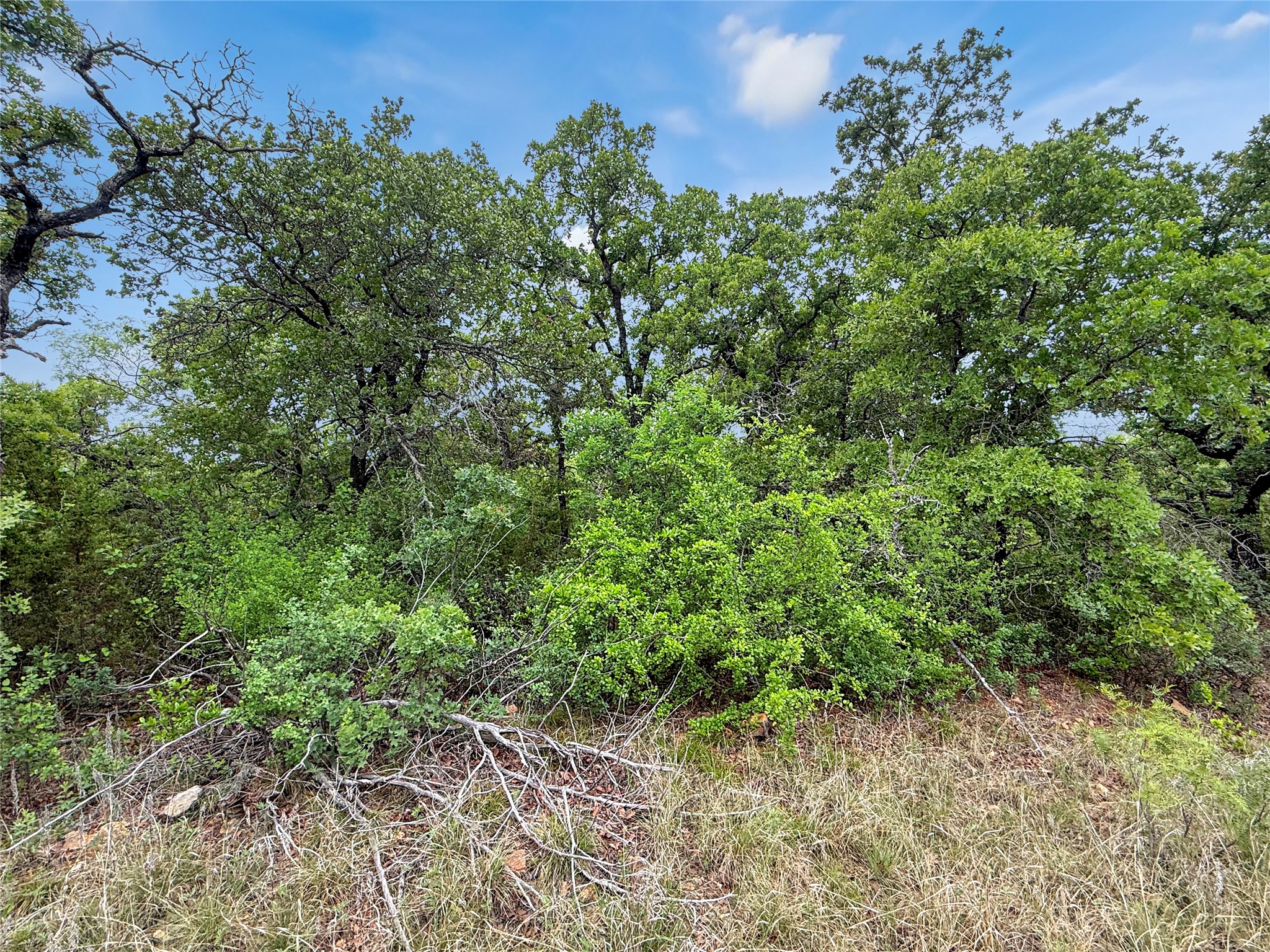 Tbd Tenbears Court Mingus TX 76463