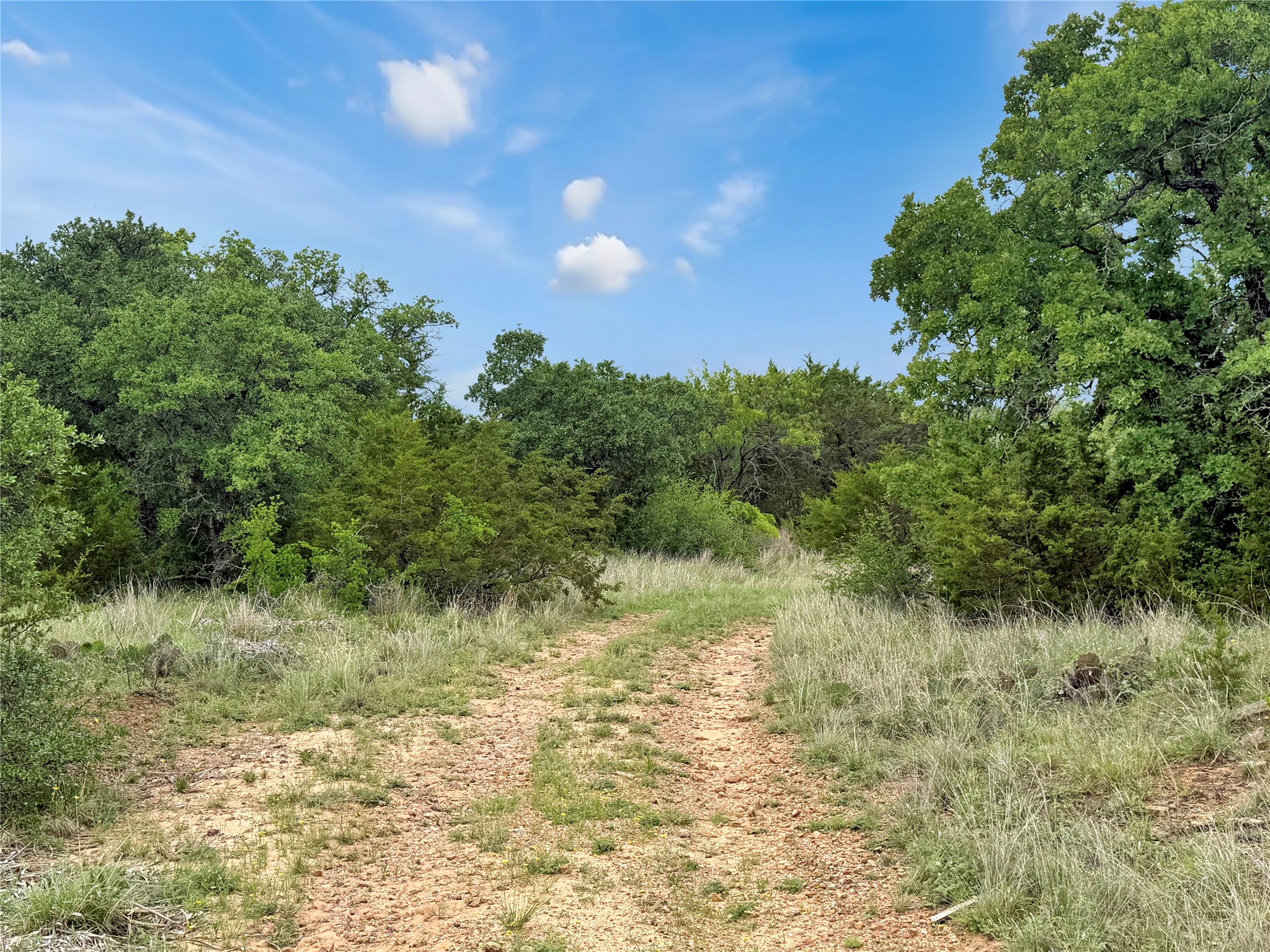 Tbd Tenbears Court Mingus TX 76463