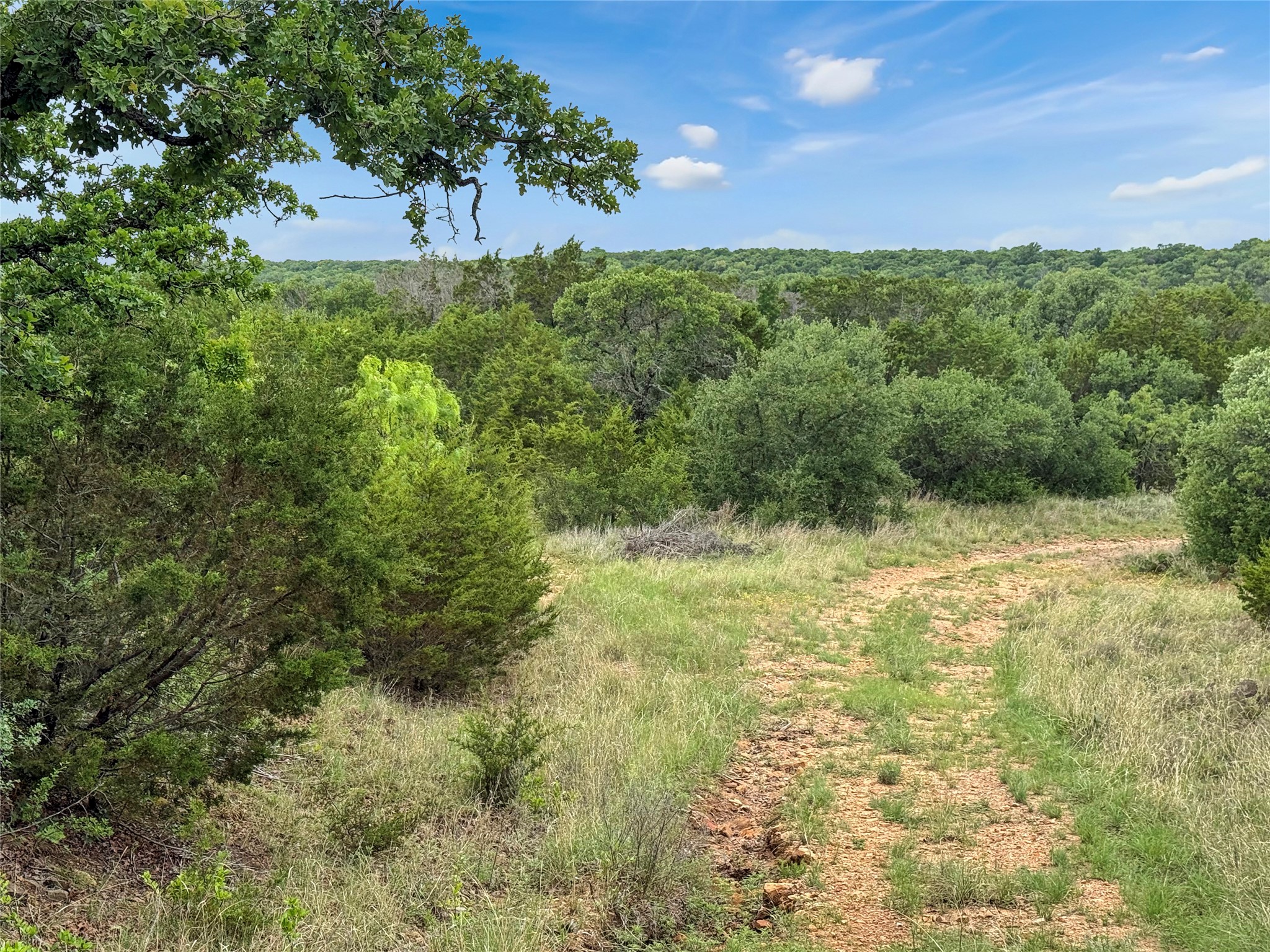 Tbd Tenbears Court Mingus TX 76463