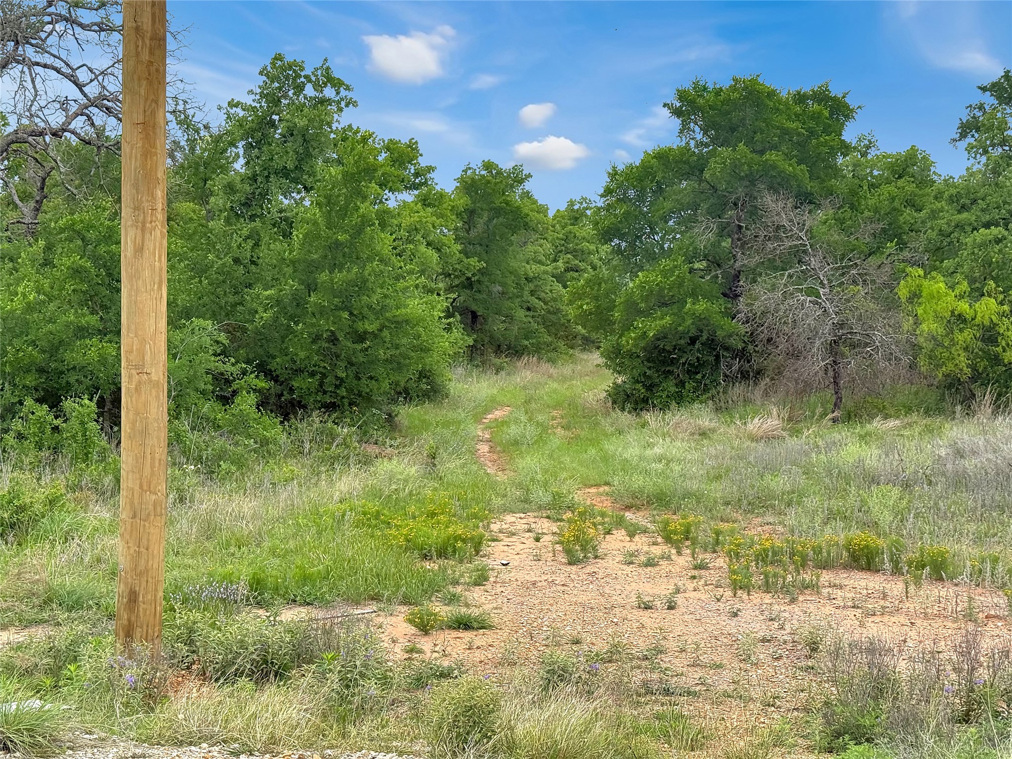 Tbd Tenbears Court Mingus TX 76463