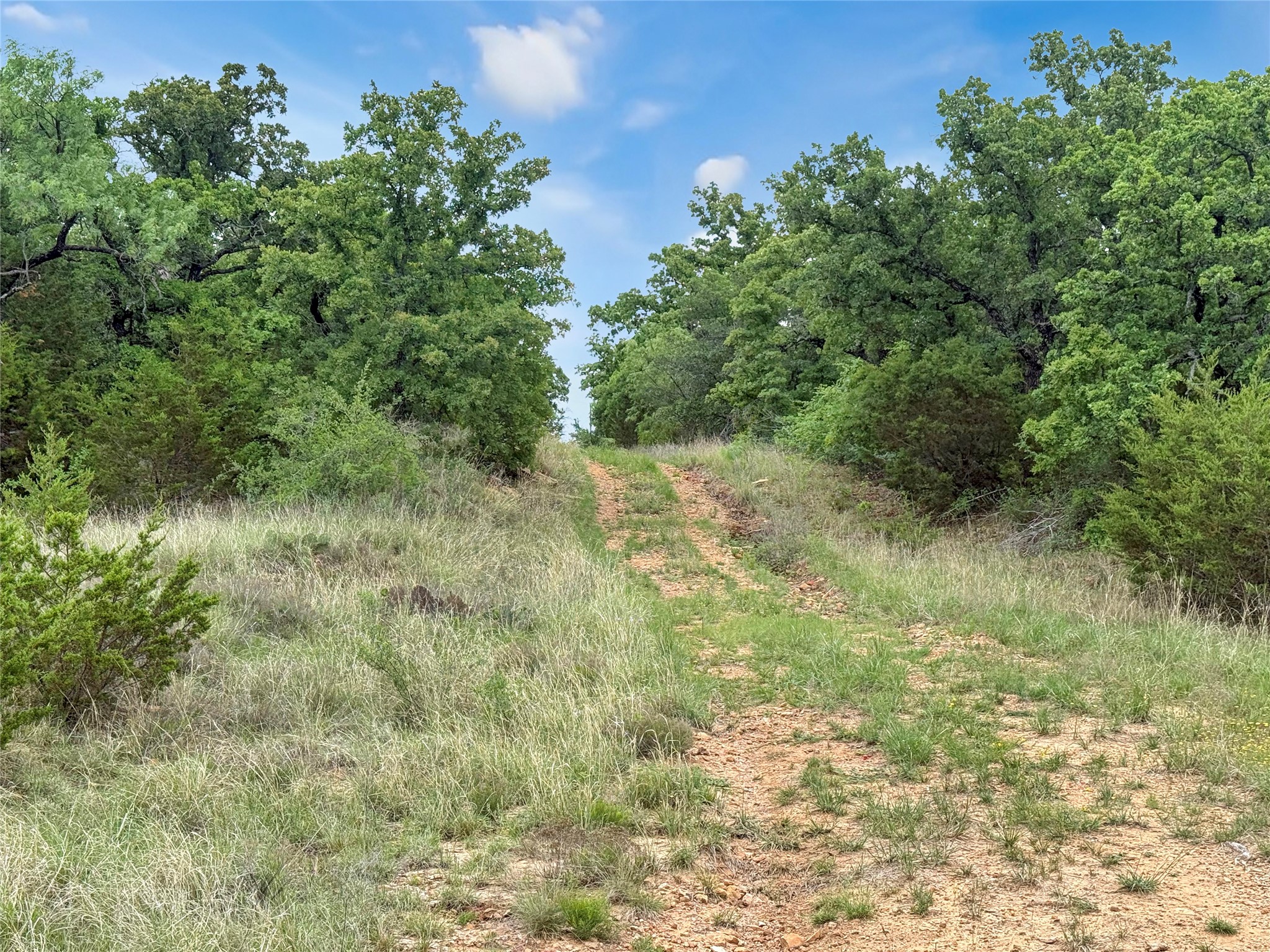 Tbd Tenbears Court Mingus TX 76463