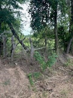 00002etbd County Road 3528 Saltillo TX 75478