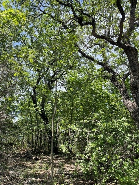 Lot 1 Hogan Place Runaway Bay TX 76426