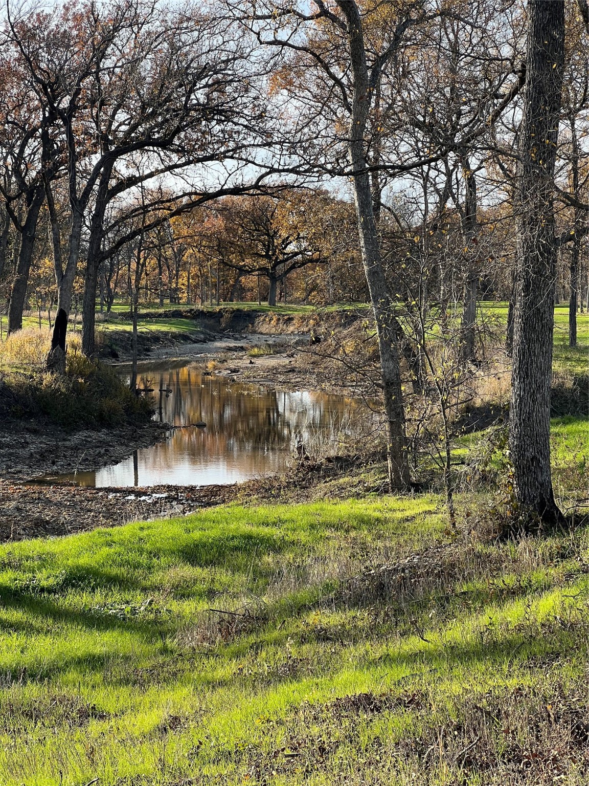 Tbd Fm 2071 Gainesville TX 76240