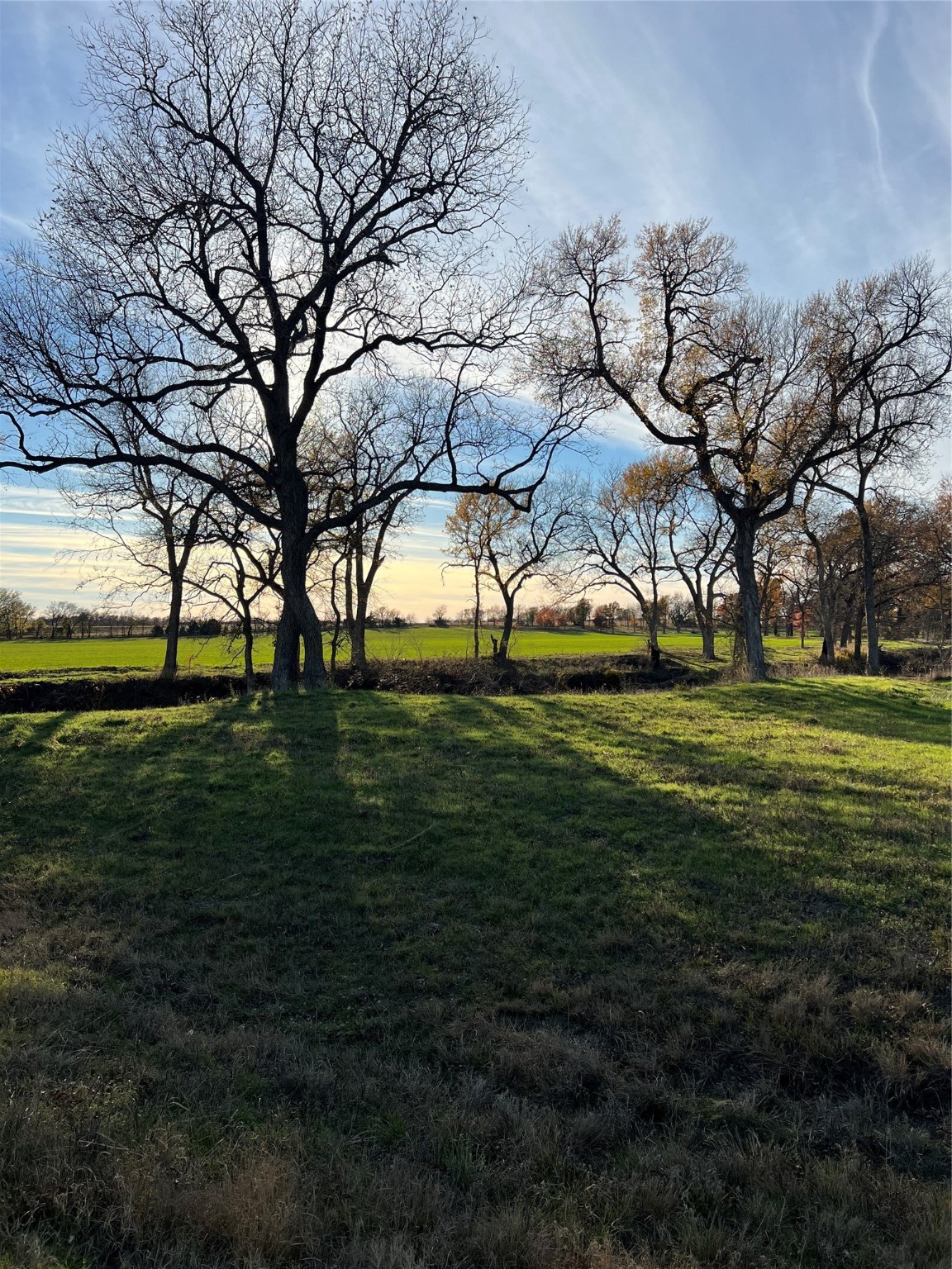 Tbd Fm 2071 Gainesville TX 76240