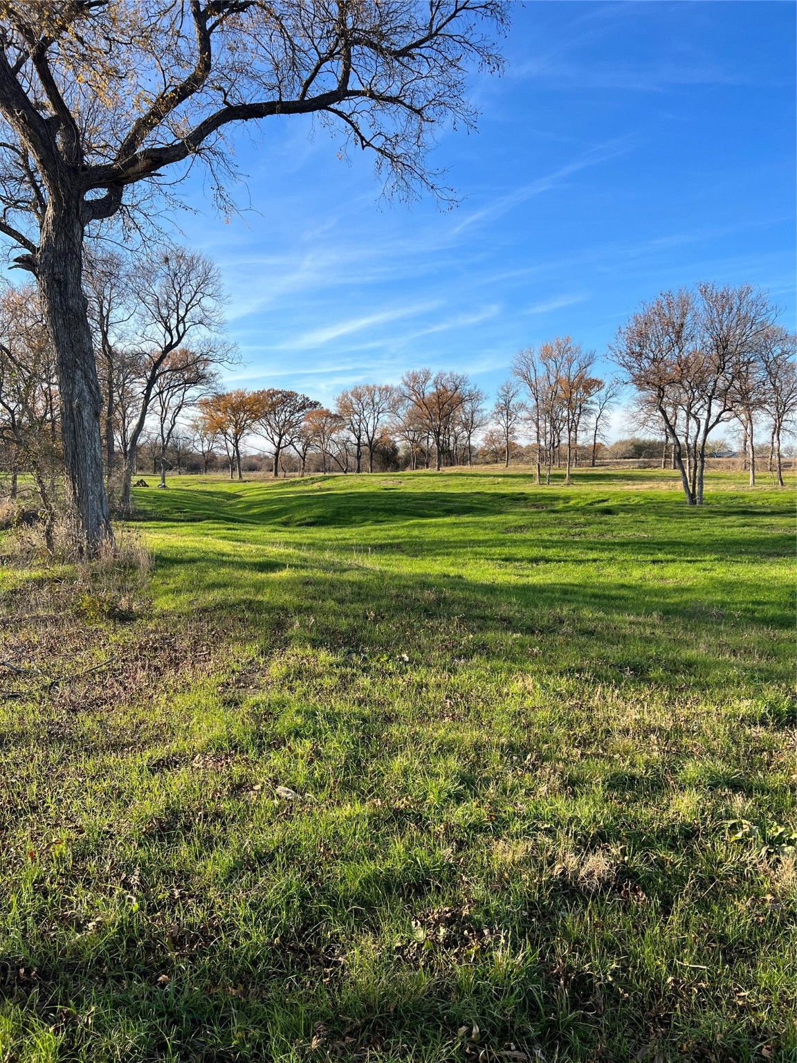 Tbd Fm 2071 Gainesville TX 76240