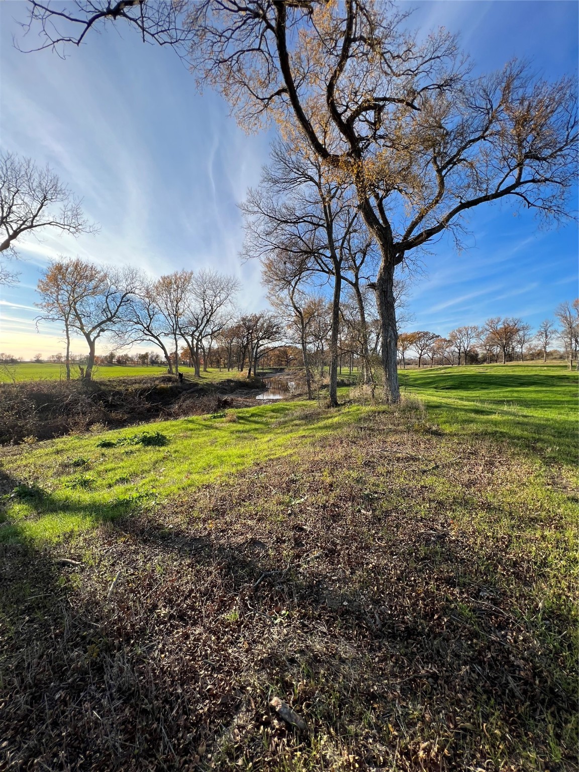 Tbd Fm 2071 Gainesville TX 76240