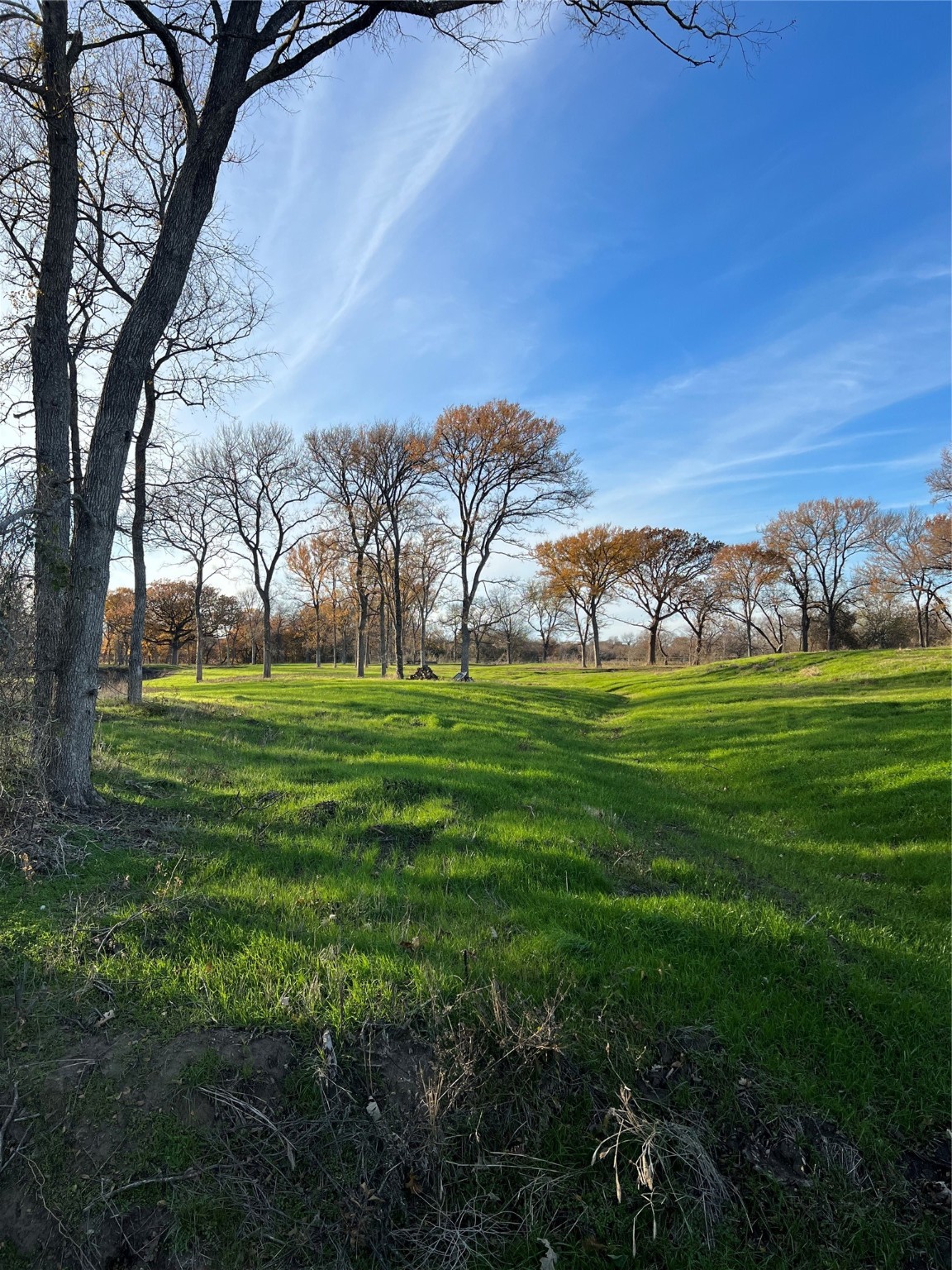 Tbd Fm 2071 Gainesville TX 76240
