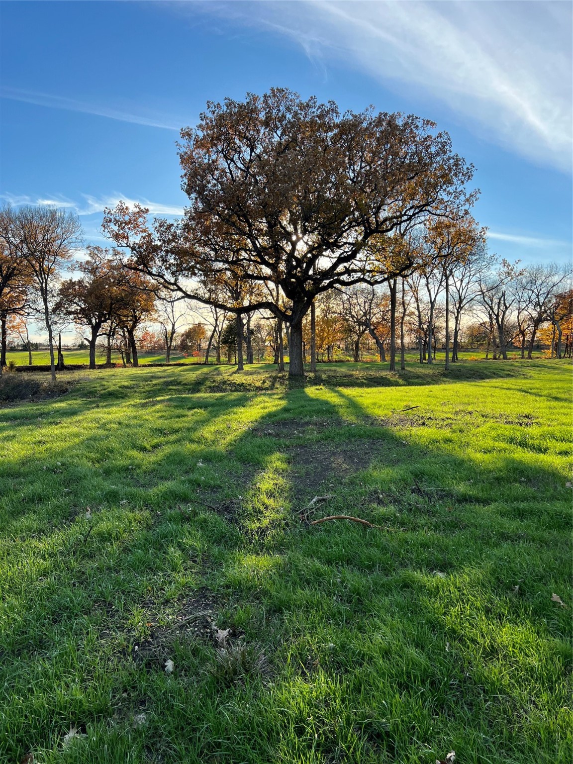 Tbd Fm 2071 Gainesville TX 76240