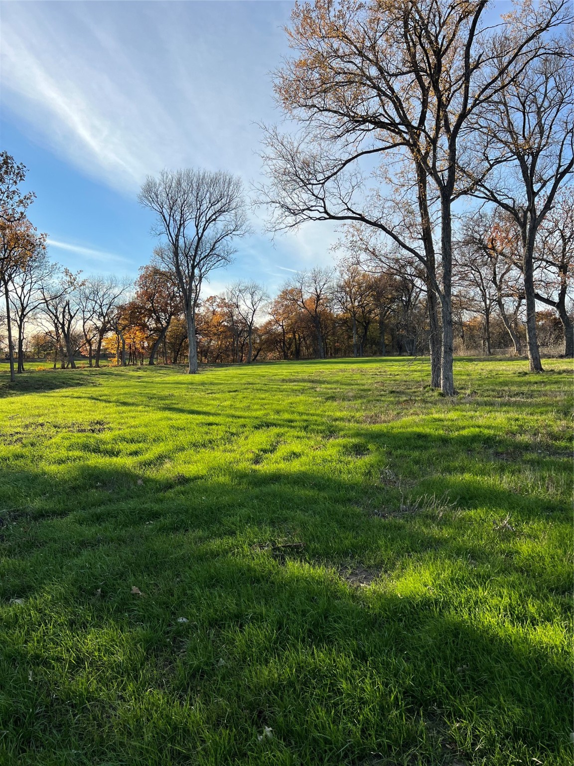 Tbd Fm 2071 Gainesville TX 76240
