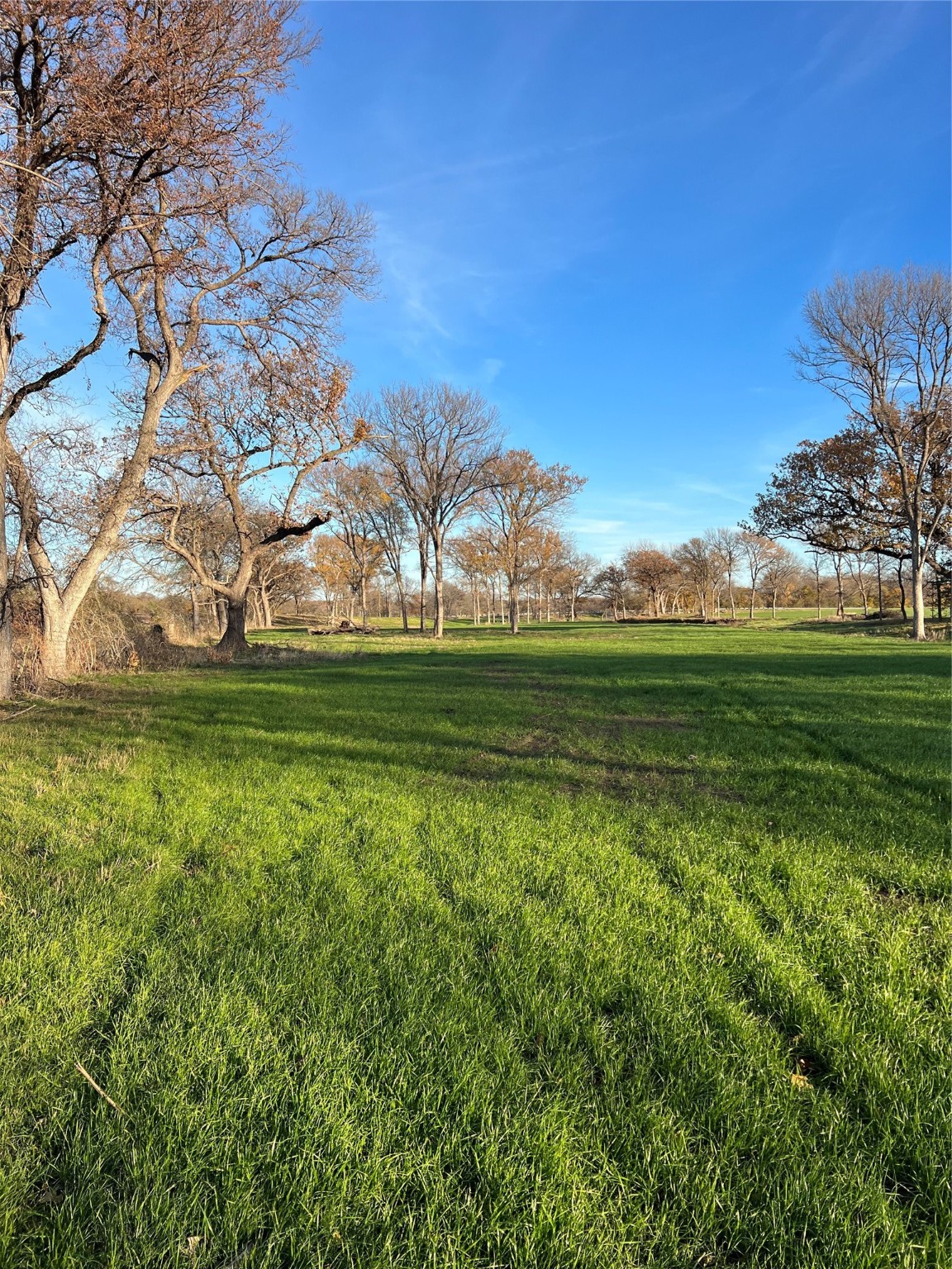 Tbd Fm 2071 Gainesville TX 76240