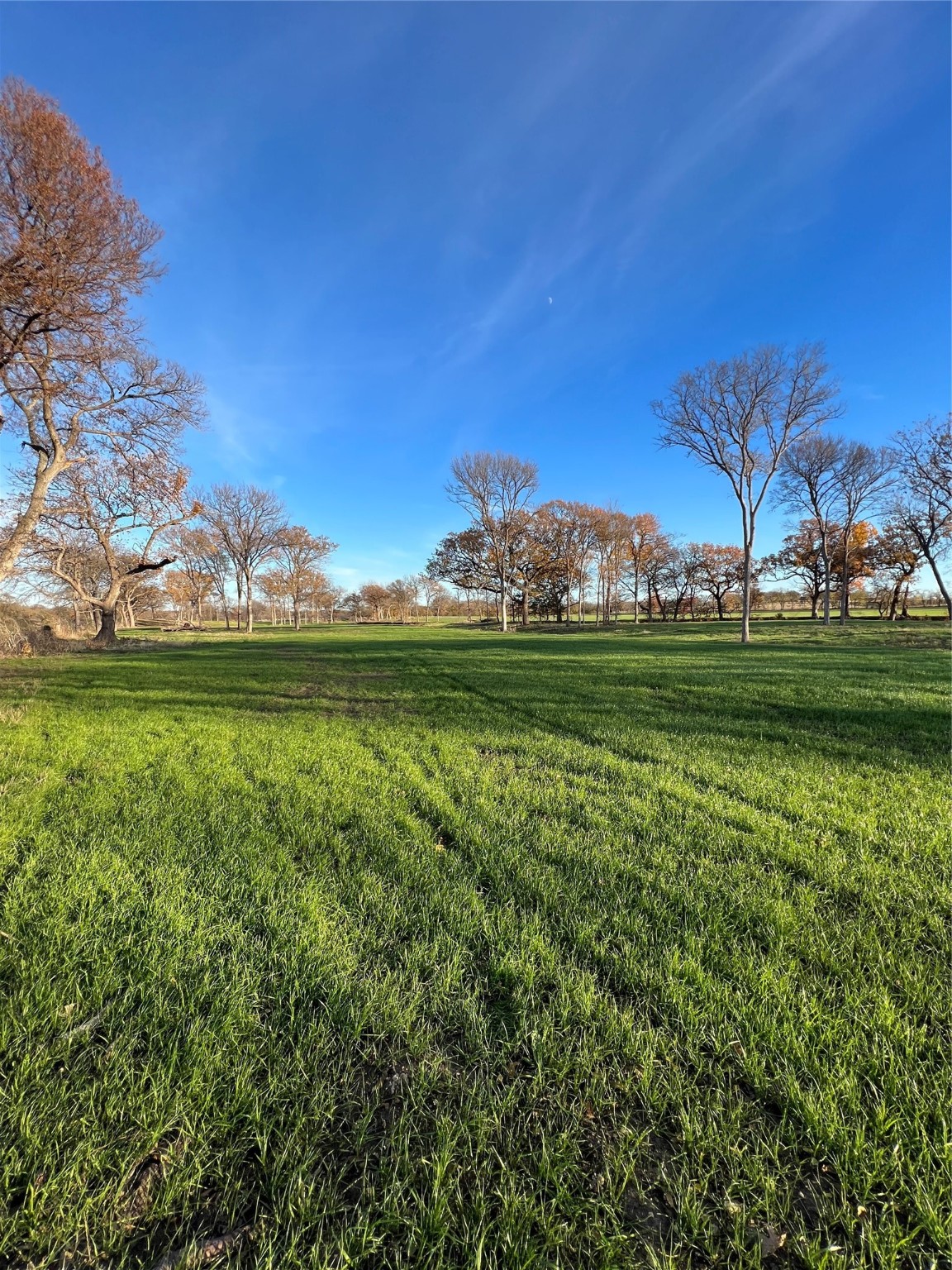 Tbd Fm 2071 Gainesville TX 76240