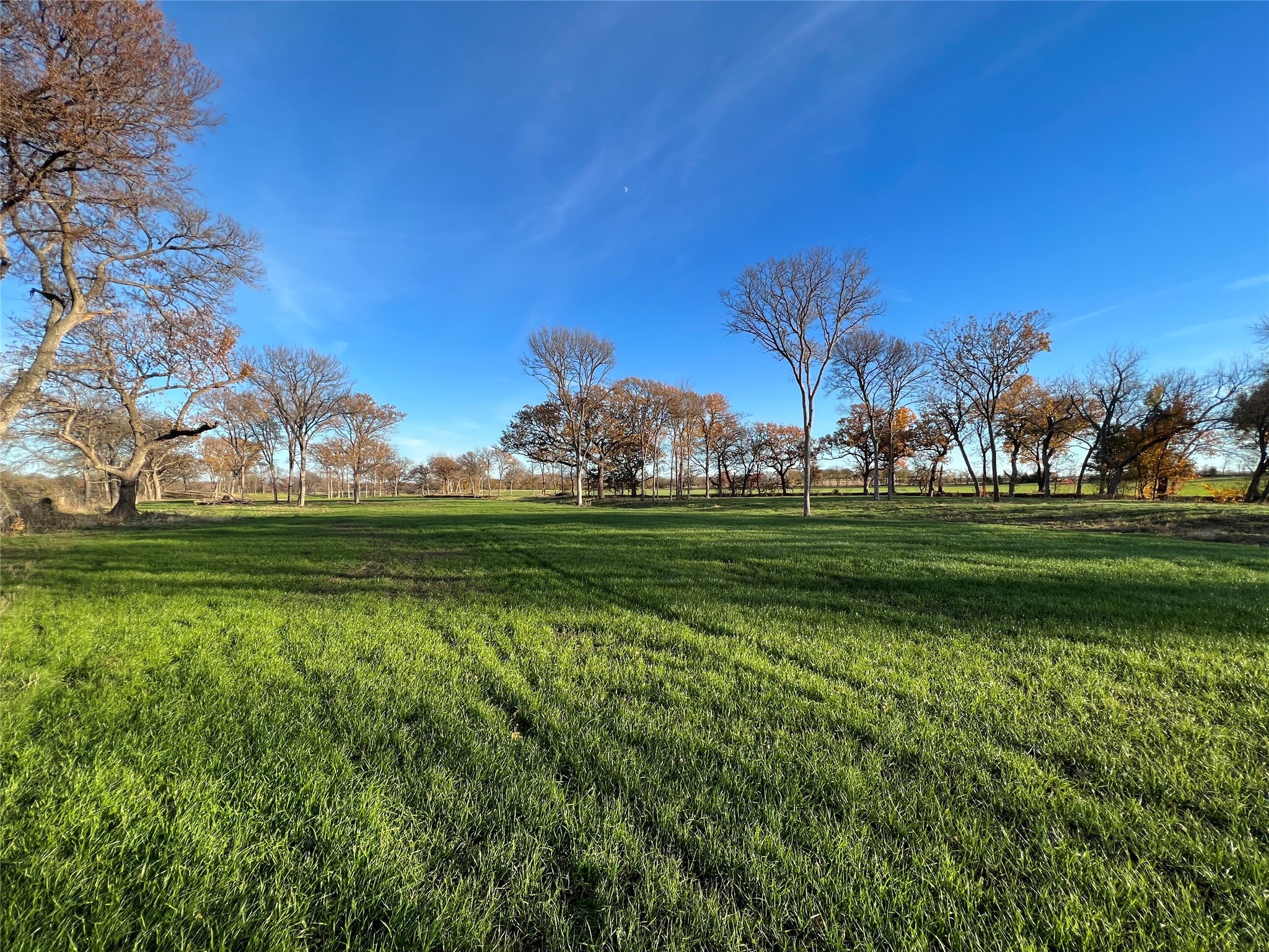 Tbd Fm 2071 Gainesville TX 76240