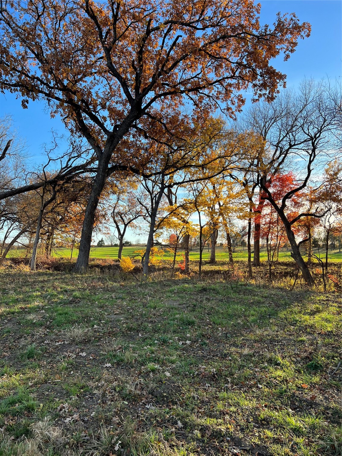 Tbd Fm 2071 Gainesville TX 76240