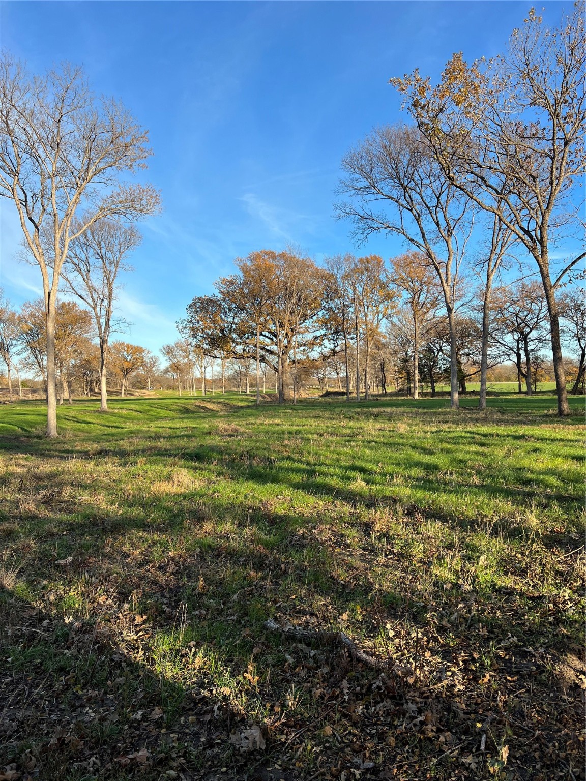 Tbd Fm 2071 Gainesville TX 76240