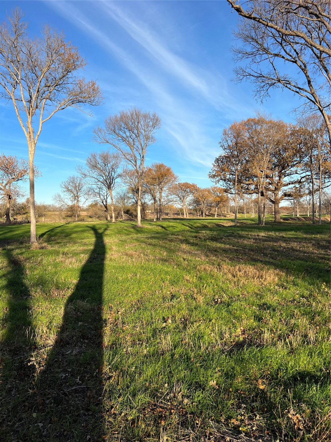 Tbd Fm 2071 Gainesville TX 76240