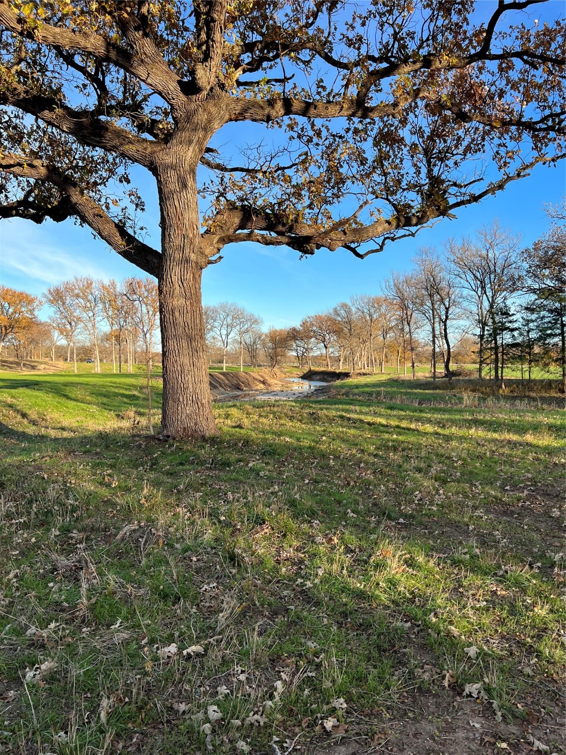Tbd Fm 2071 Gainesville TX 76240