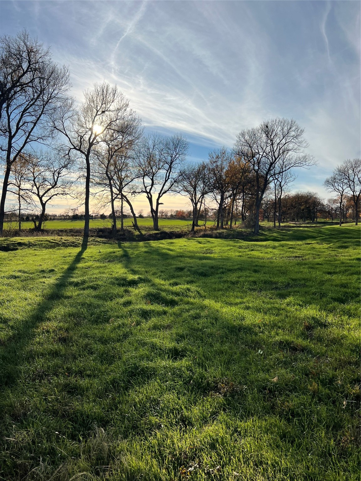 Tbd Fm 2071 Gainesville TX 76240
