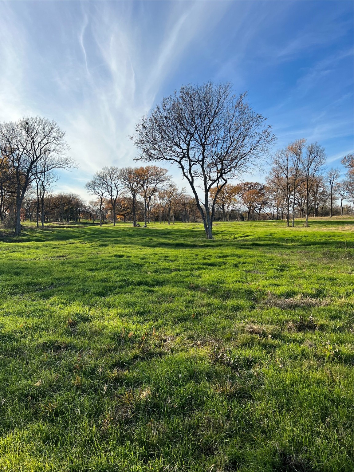 Tbd Fm 2071 Gainesville TX 76240
