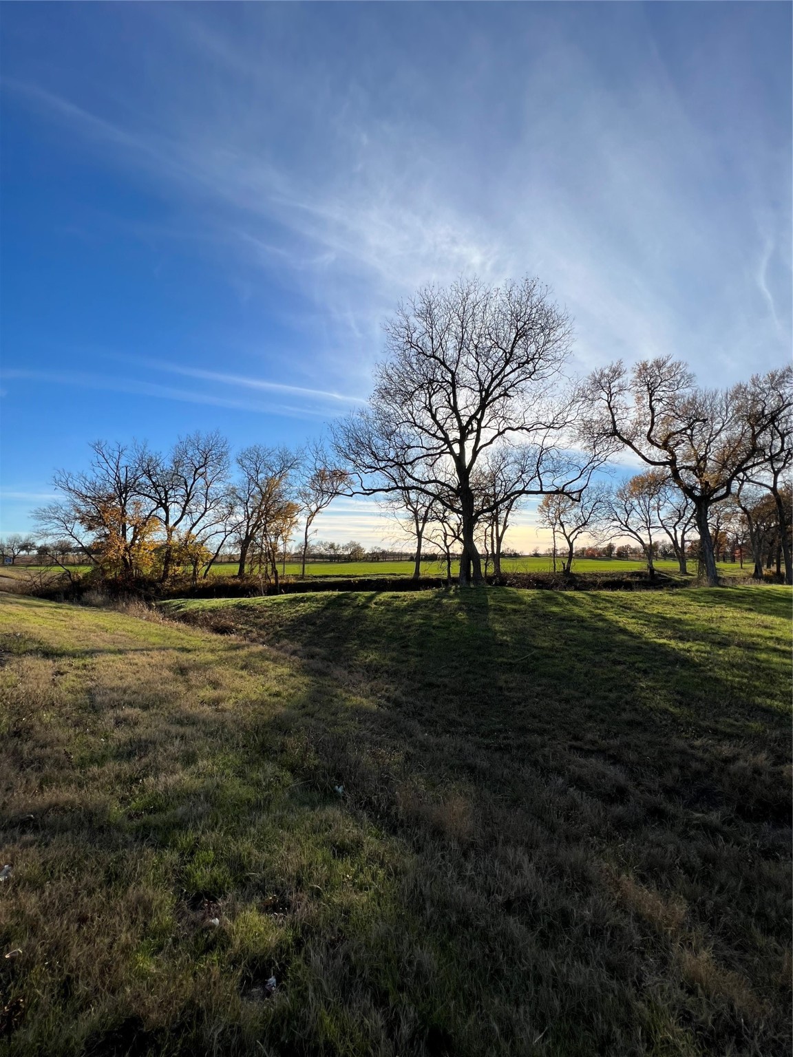 Tbd Fm 2071 Gainesville TX 76240