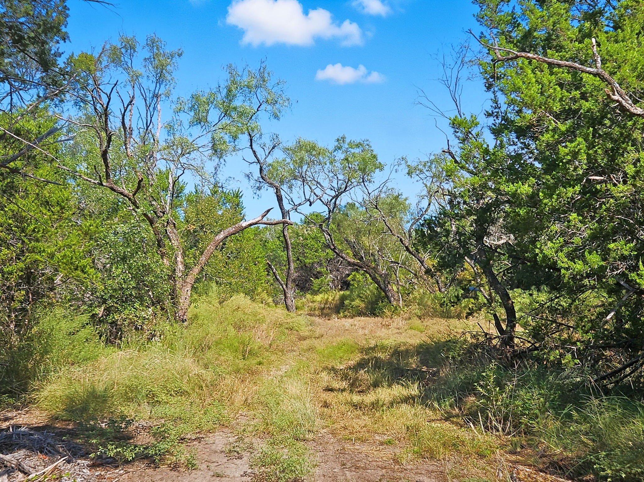 5698 County Road 102 Purmela TX 76566