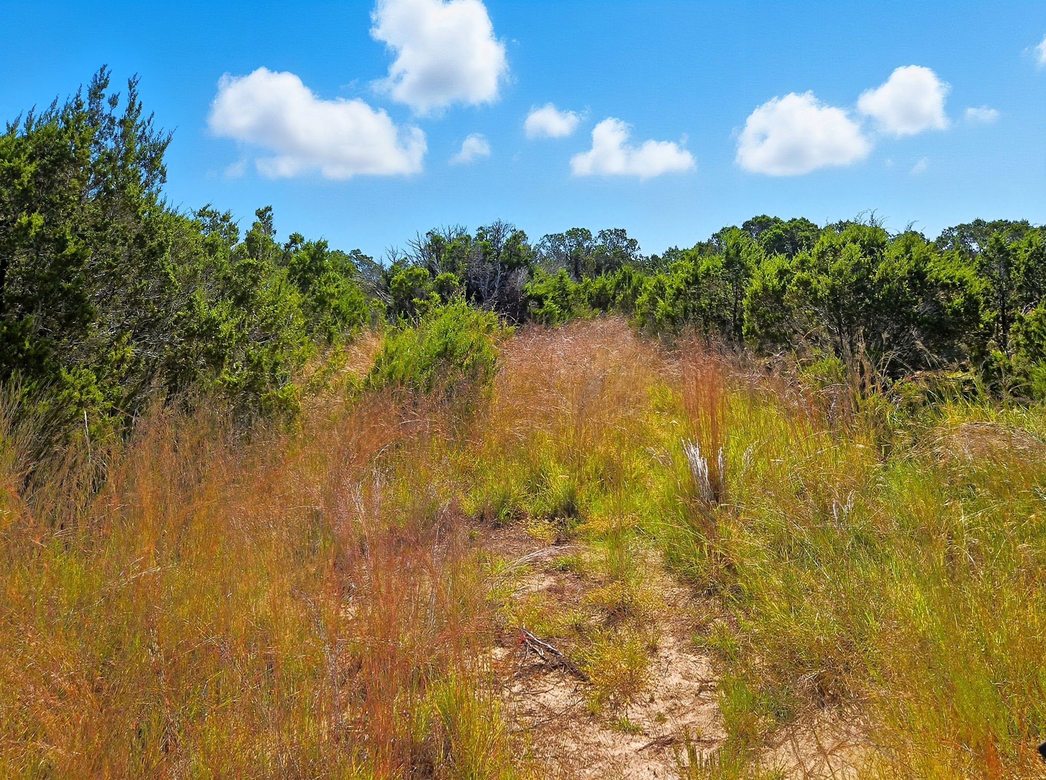 5698 County Road 102 Purmela TX 76566