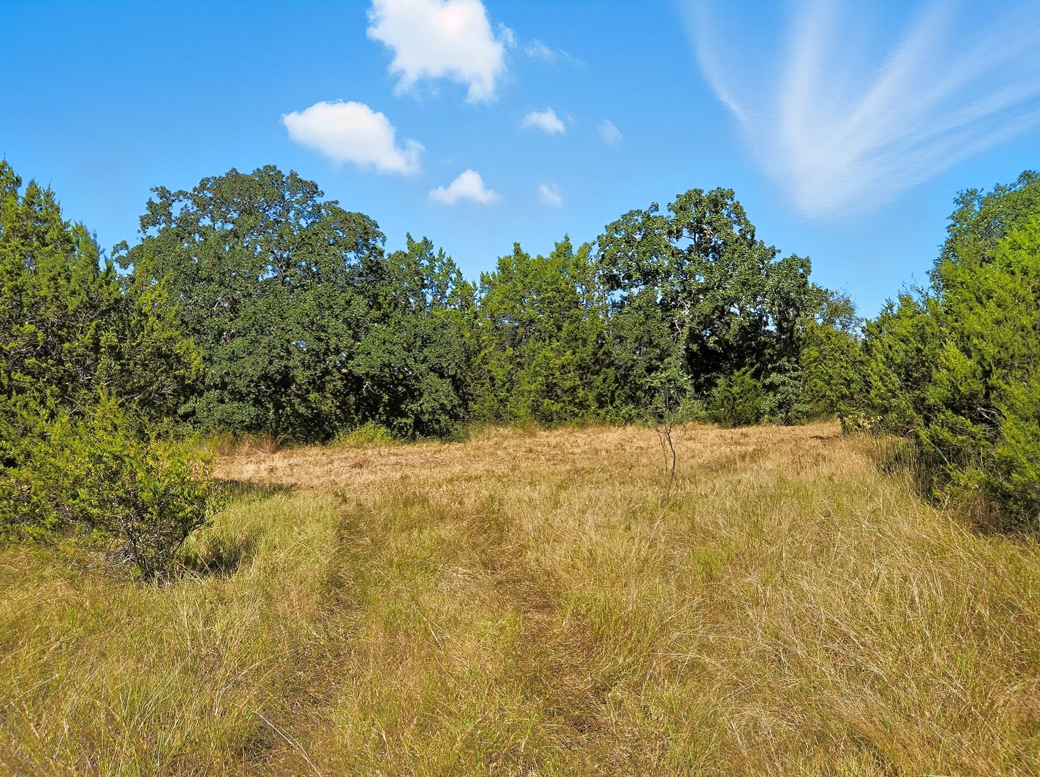 5698 County Road 102 Purmela TX 76566