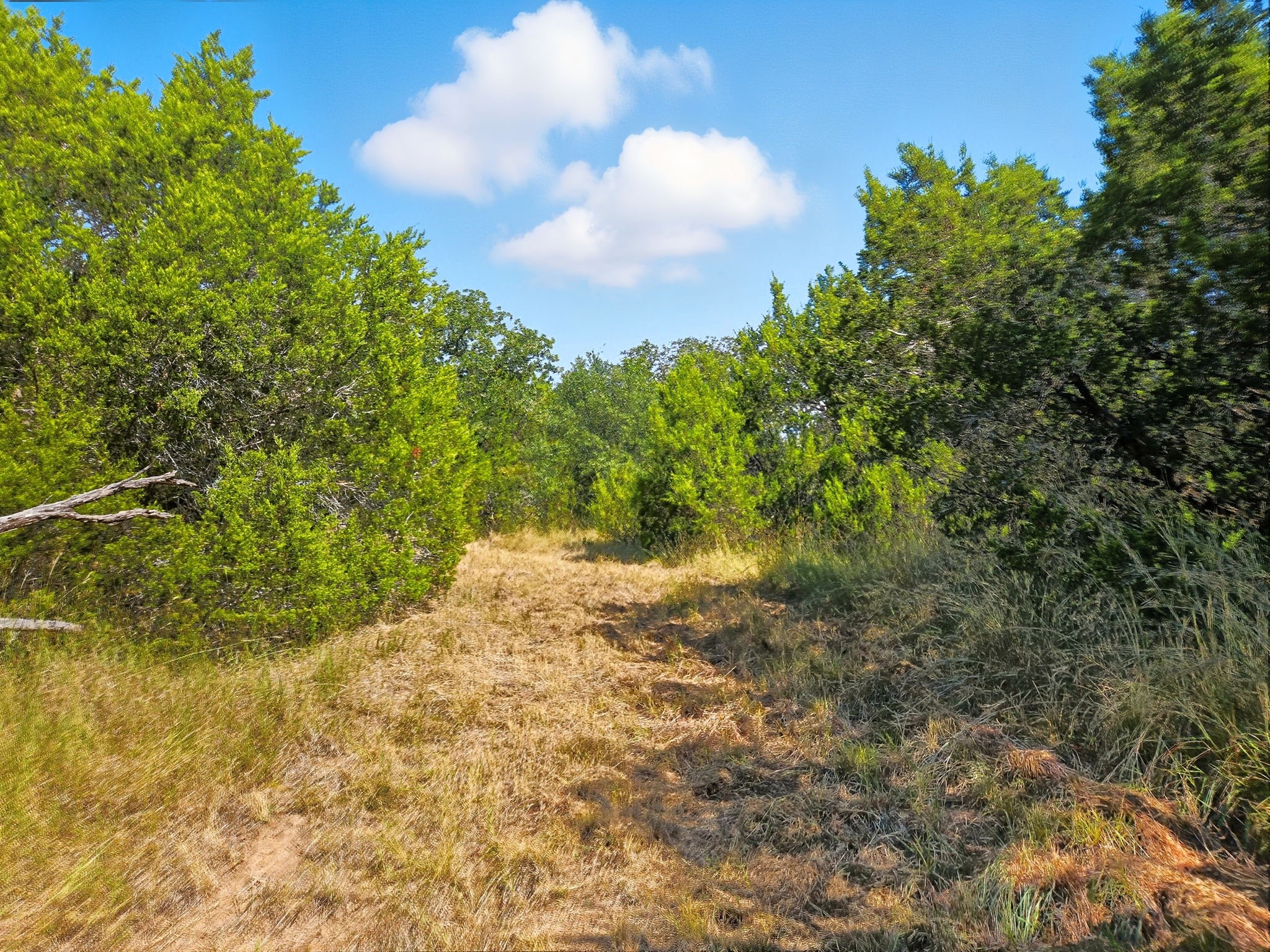 5698 County Road 102 Purmela TX 76566