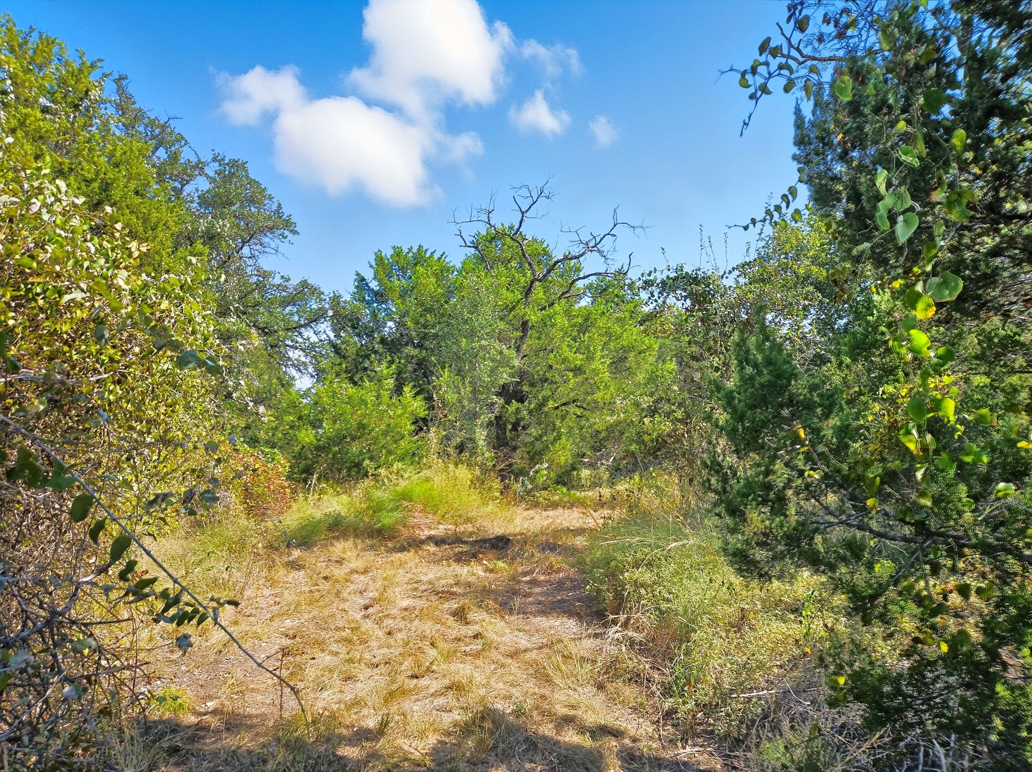 5698 County Road 102 Purmela TX 76566
