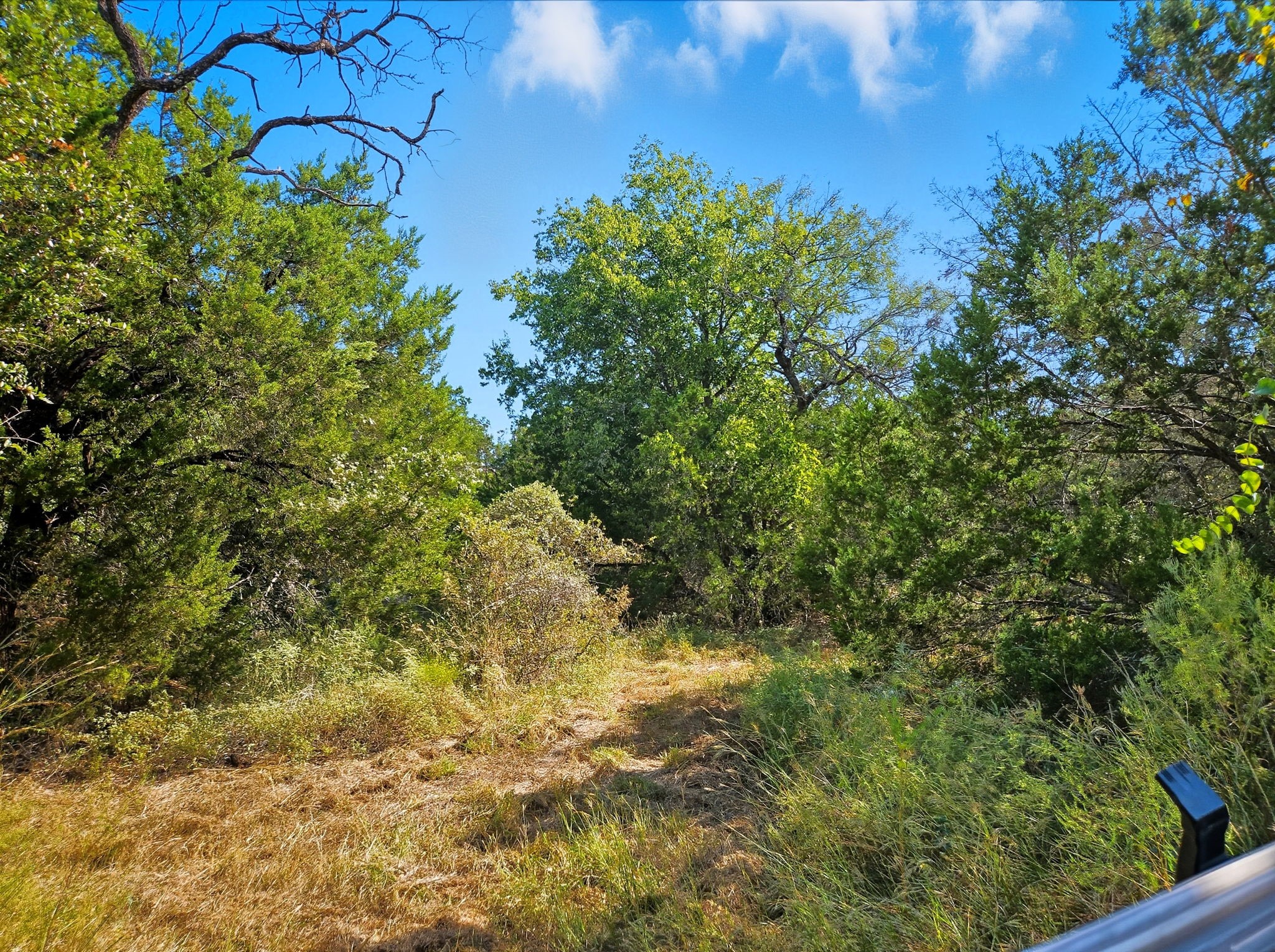 5698 County Road 102 Purmela TX 76566