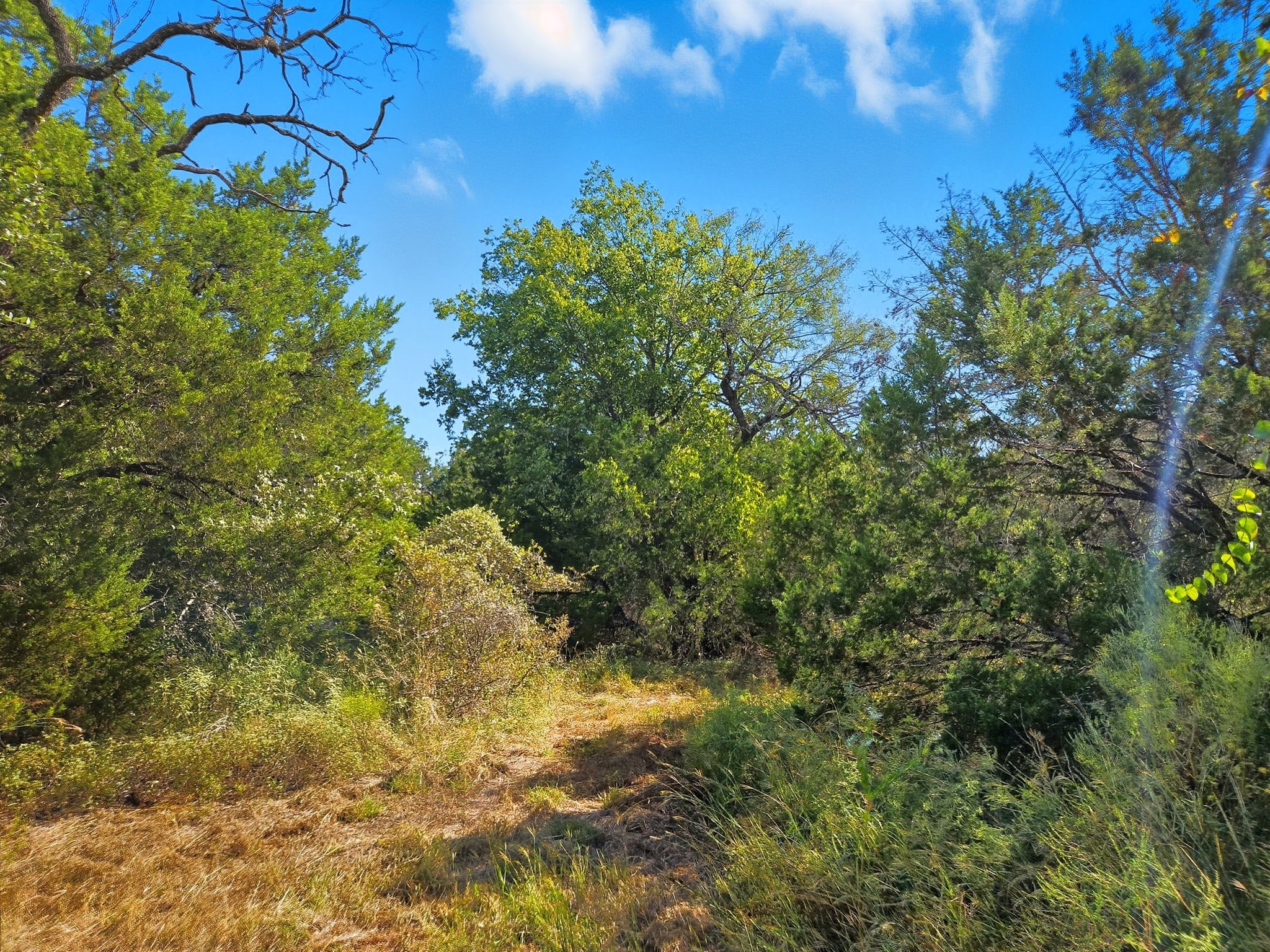 5698 County Road 102 Purmela TX 76566