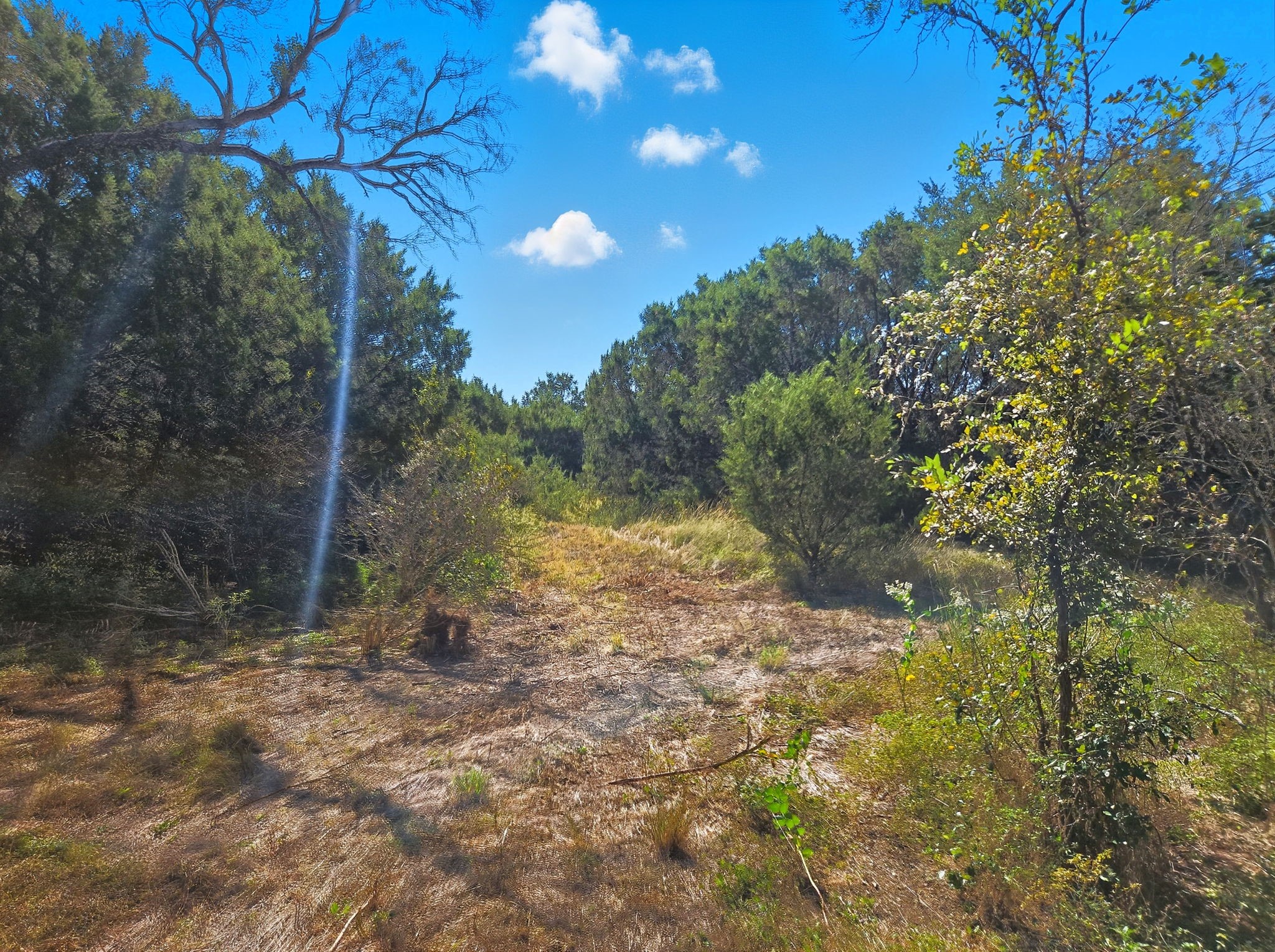 5698 County Road 102 Purmela TX 76566