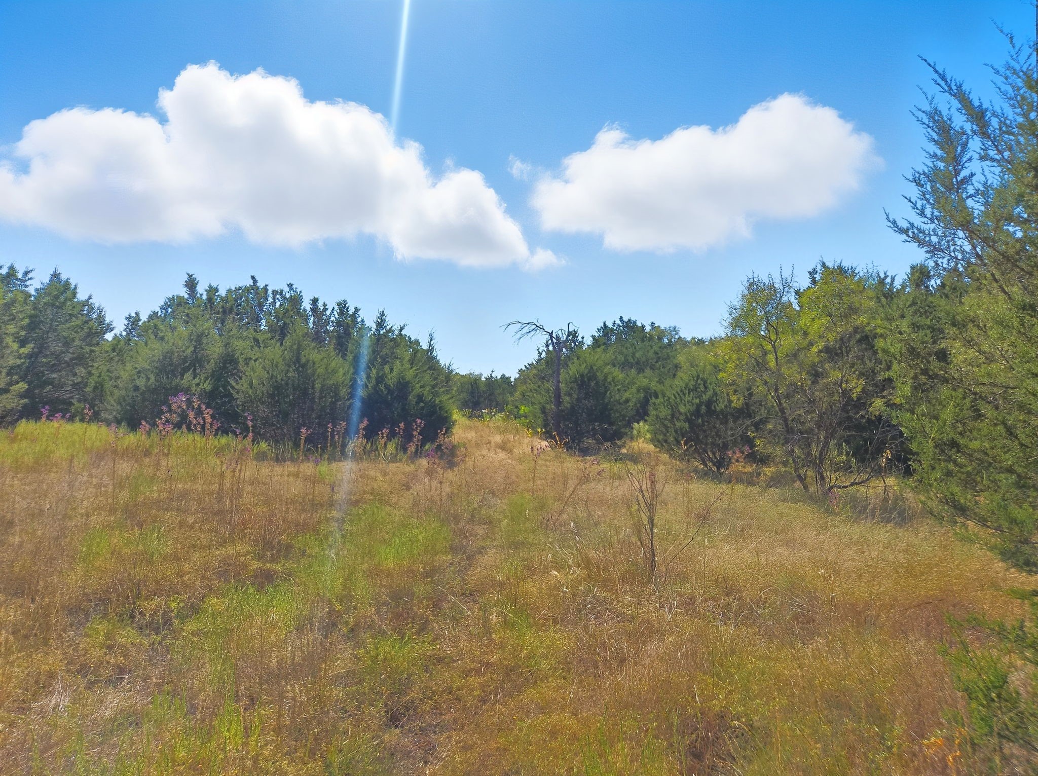 5698 County Road 102 Purmela TX 76566