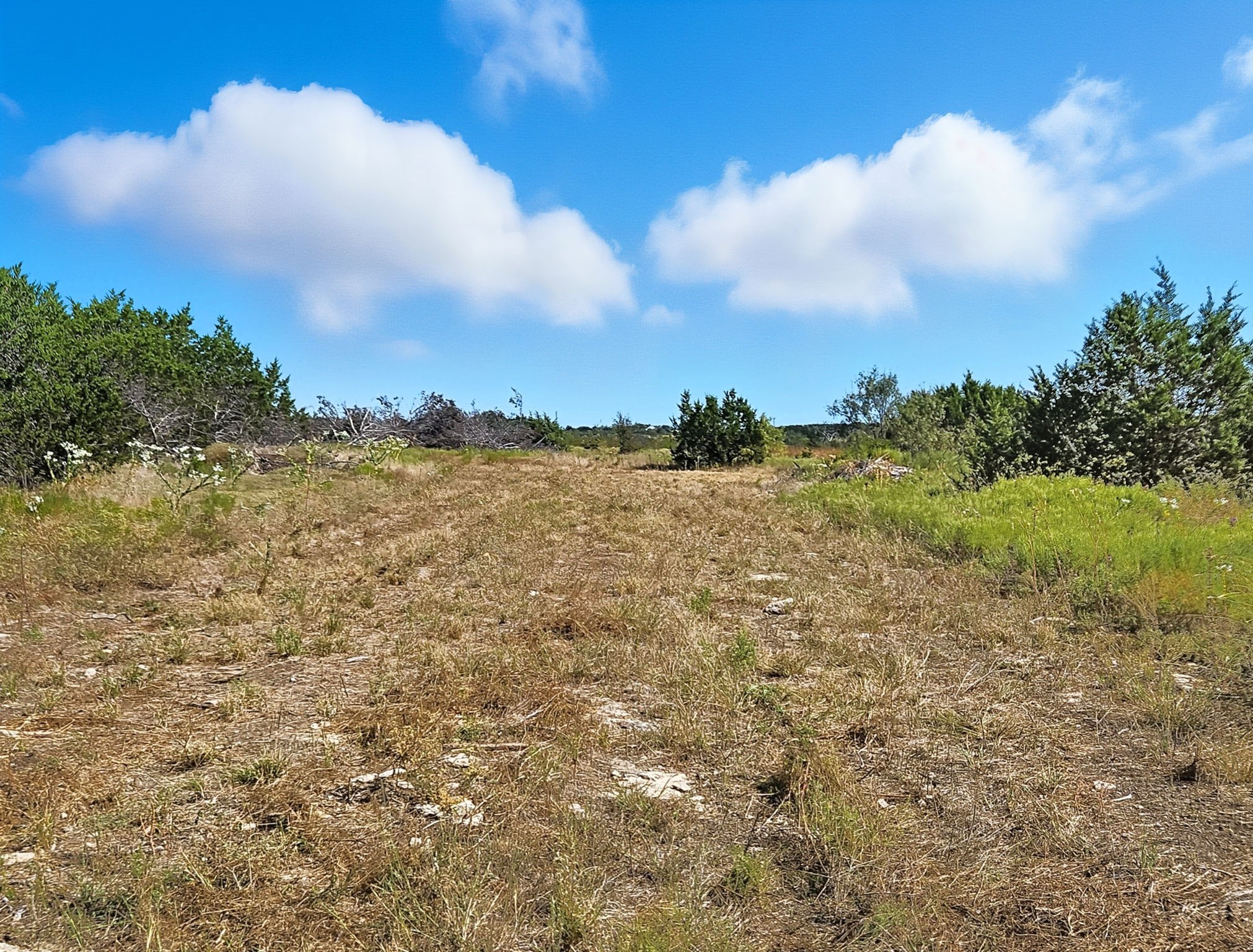 5698 County Road 102 Purmela TX 76566