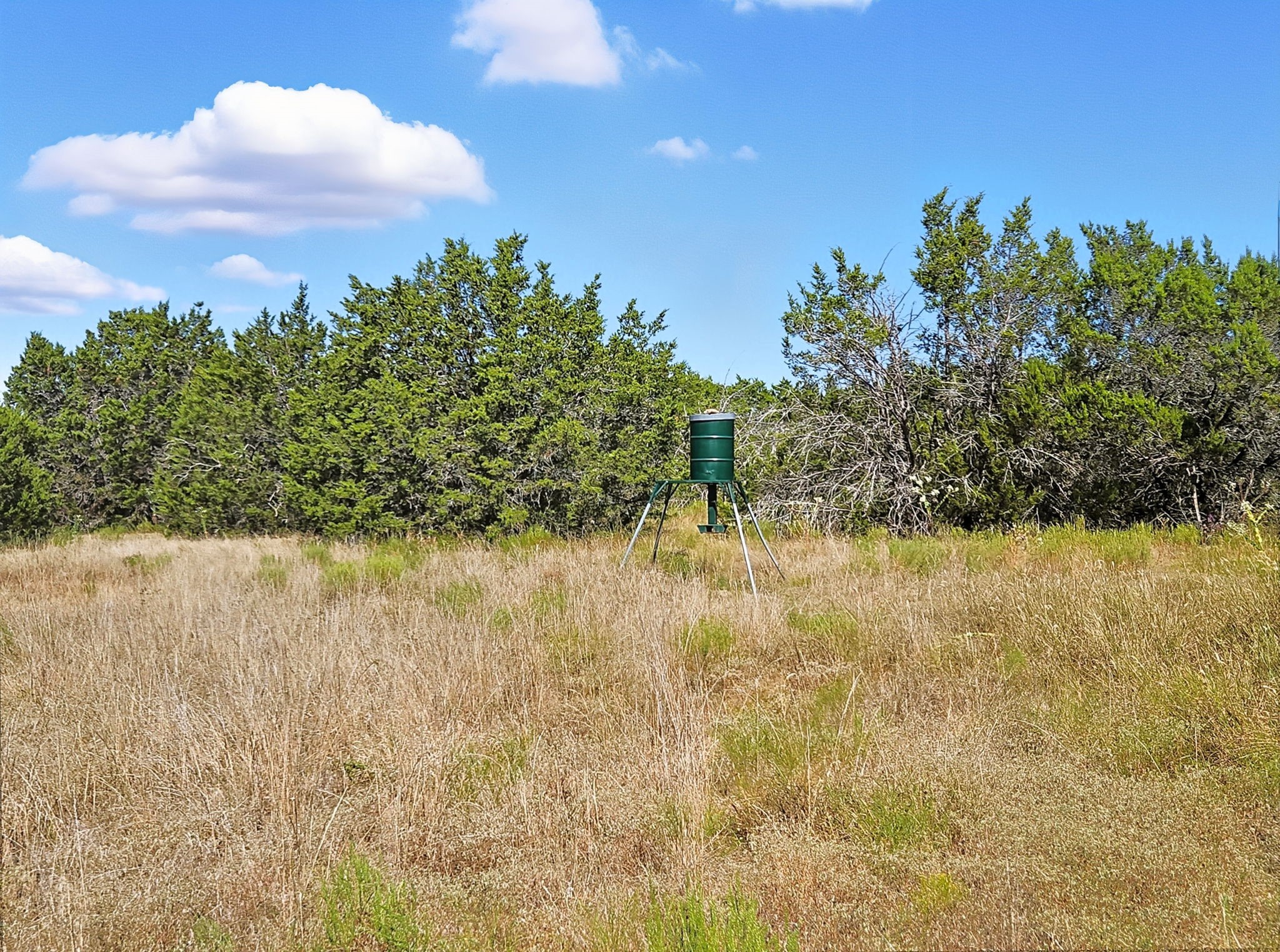 5698 County Road 102 Purmela TX 76566