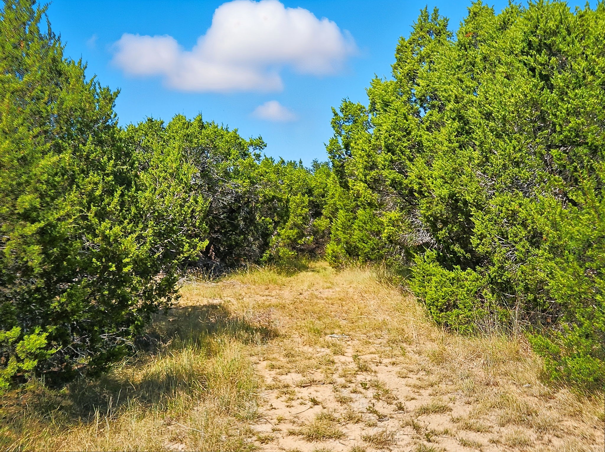 5698 County Road 102 Purmela TX 76566