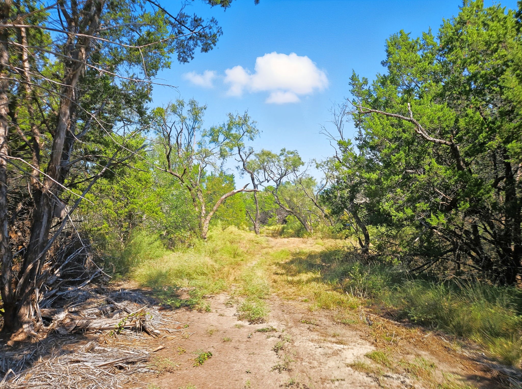 5698 County Road 102 Purmela TX 76566