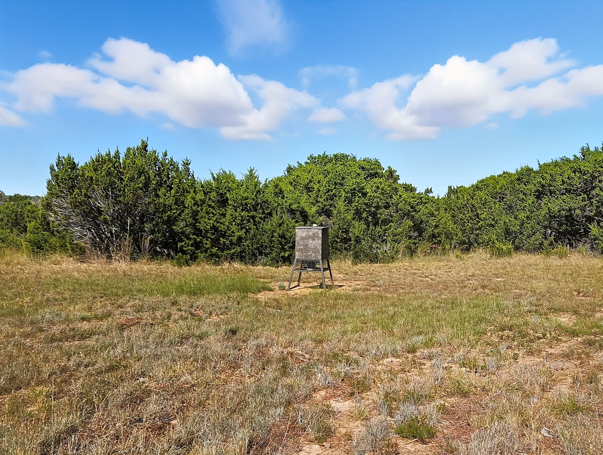 5698 County Road 102 Purmela TX 76566