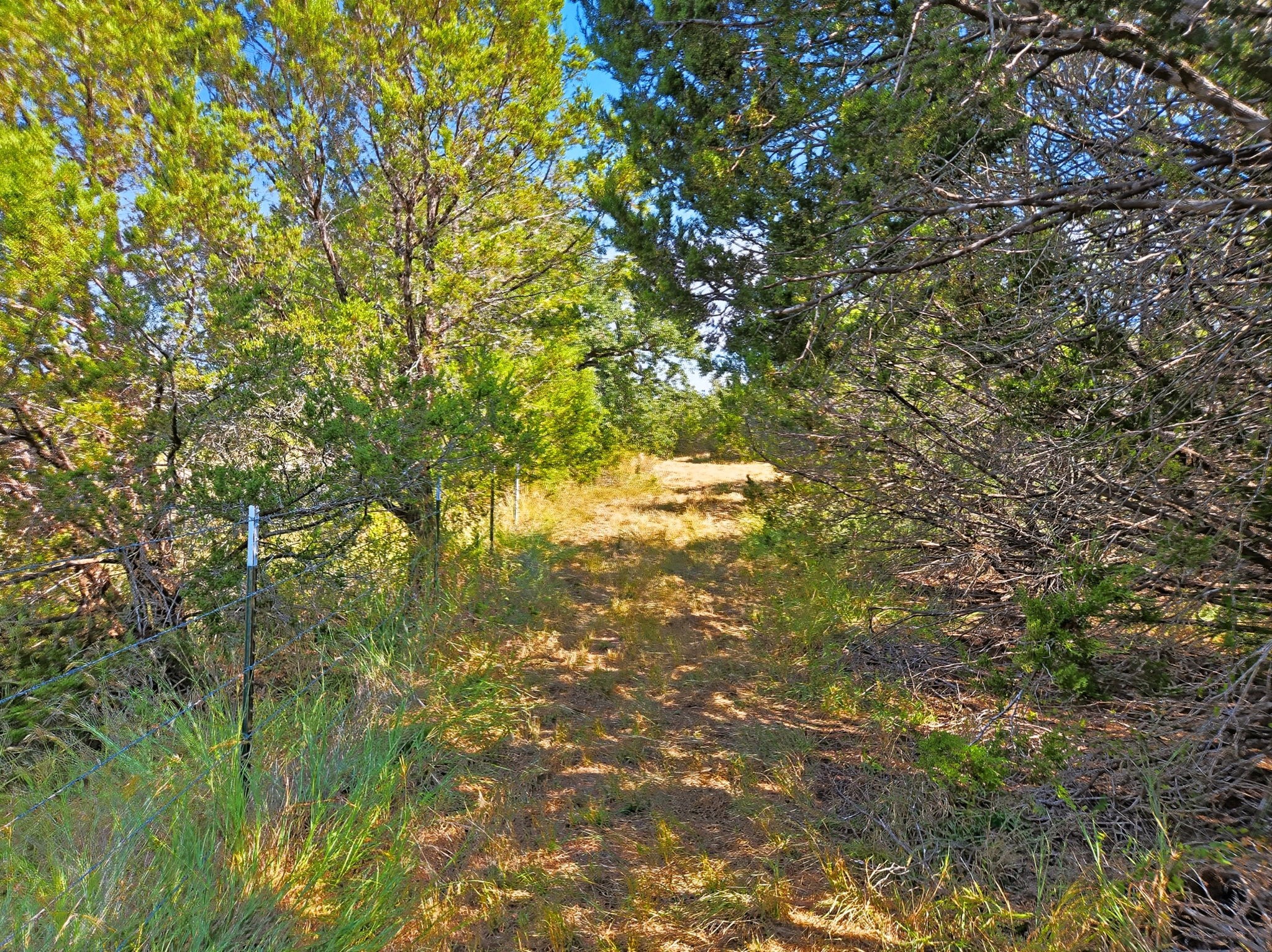 5698 County Road 102 Purmela TX 76566