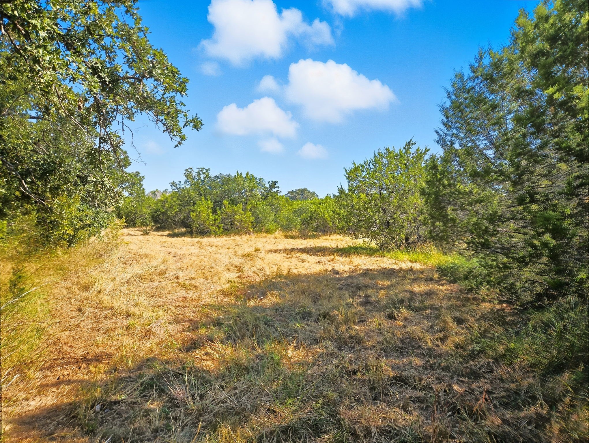 5698 County Road 102 Purmela TX 76566
