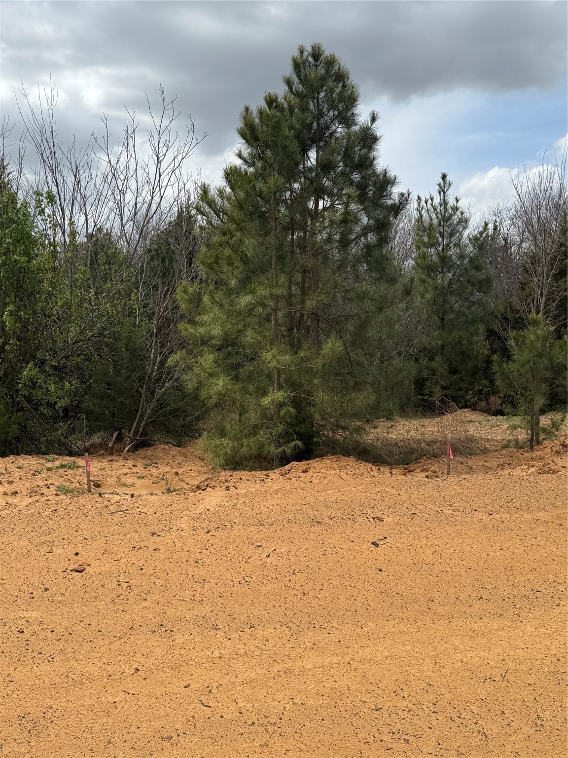 3552 Fm 3136 Lot 3 Coyote Flats TX 76031